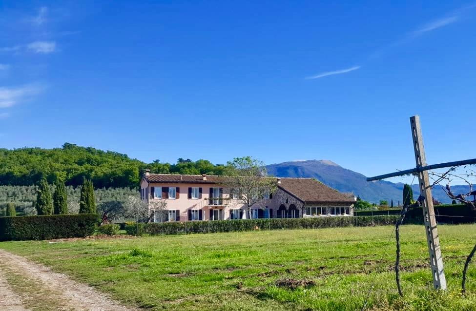 Cà Vettor