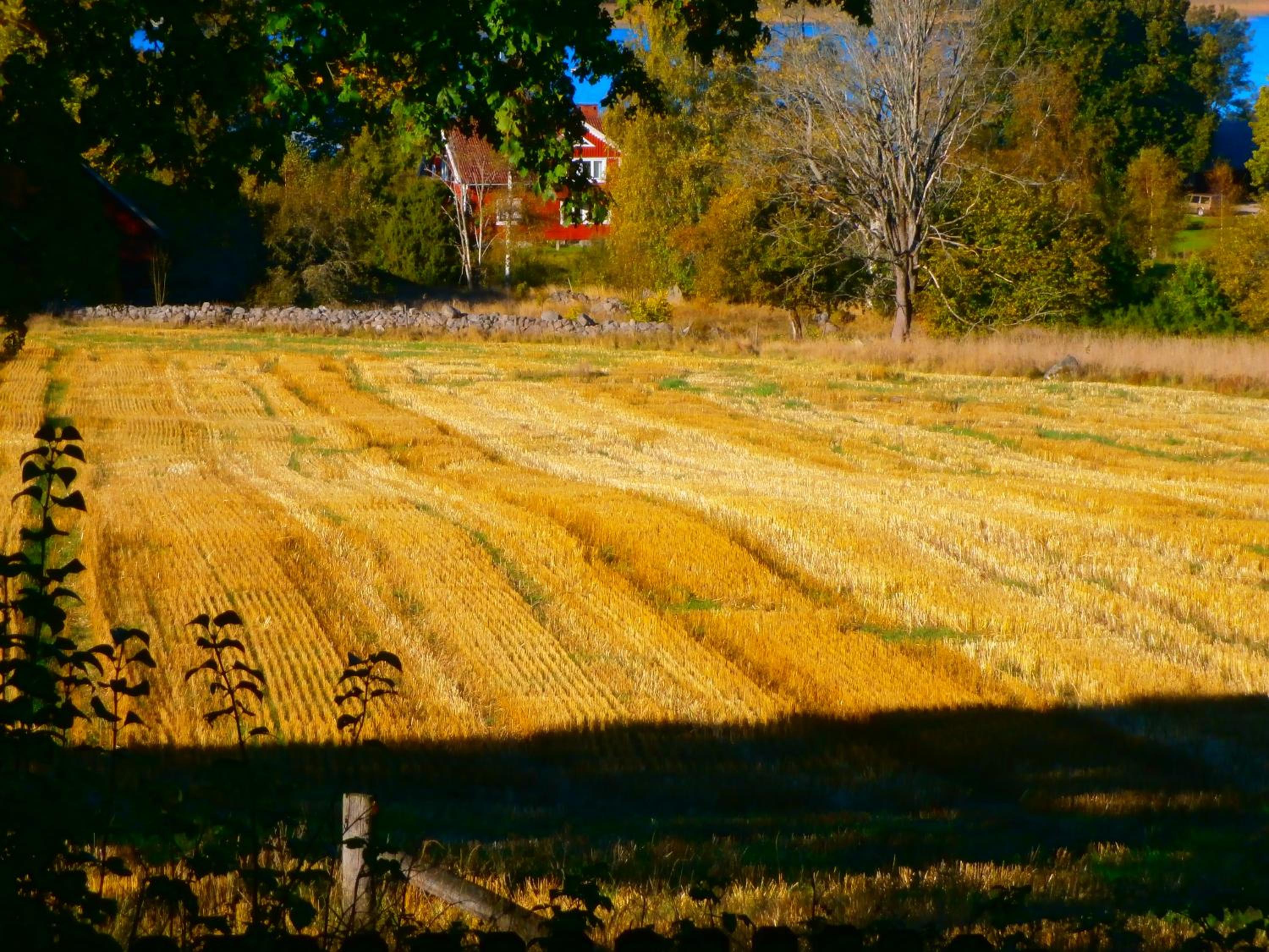Rolsmo Norregård 16 view 3