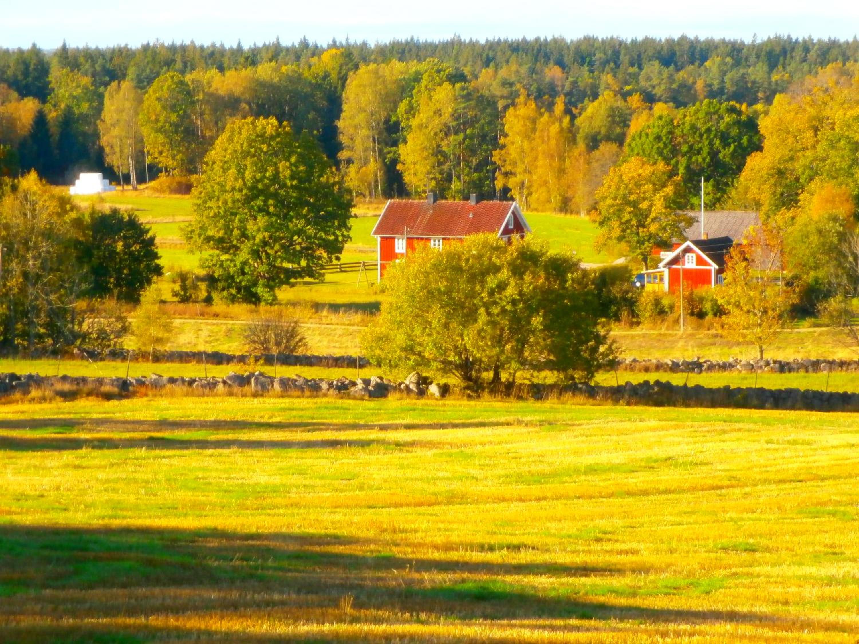 Rolsmo Norregård 16 view 4