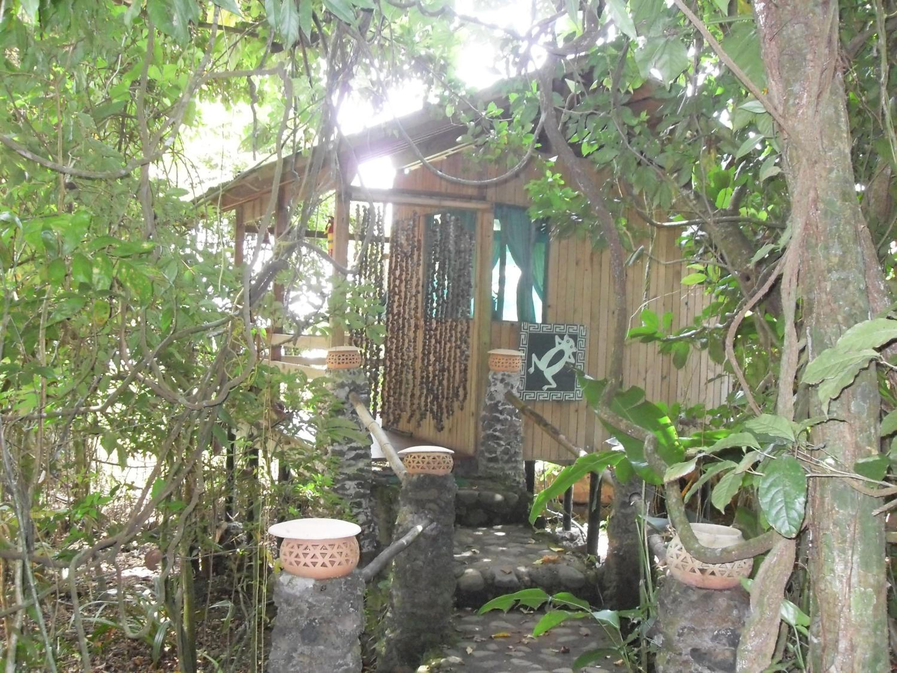Photo 35