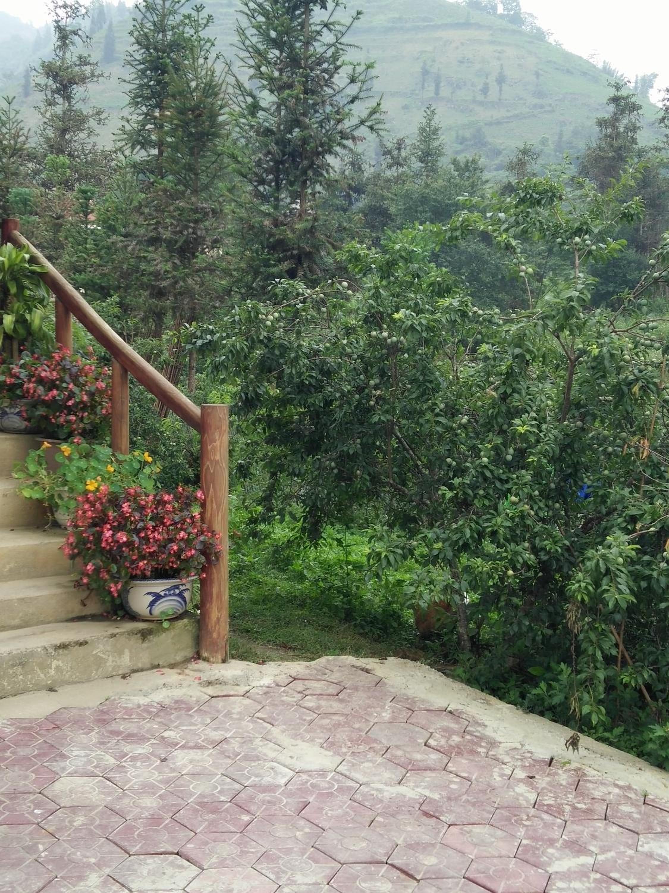 Flower hmong homestay