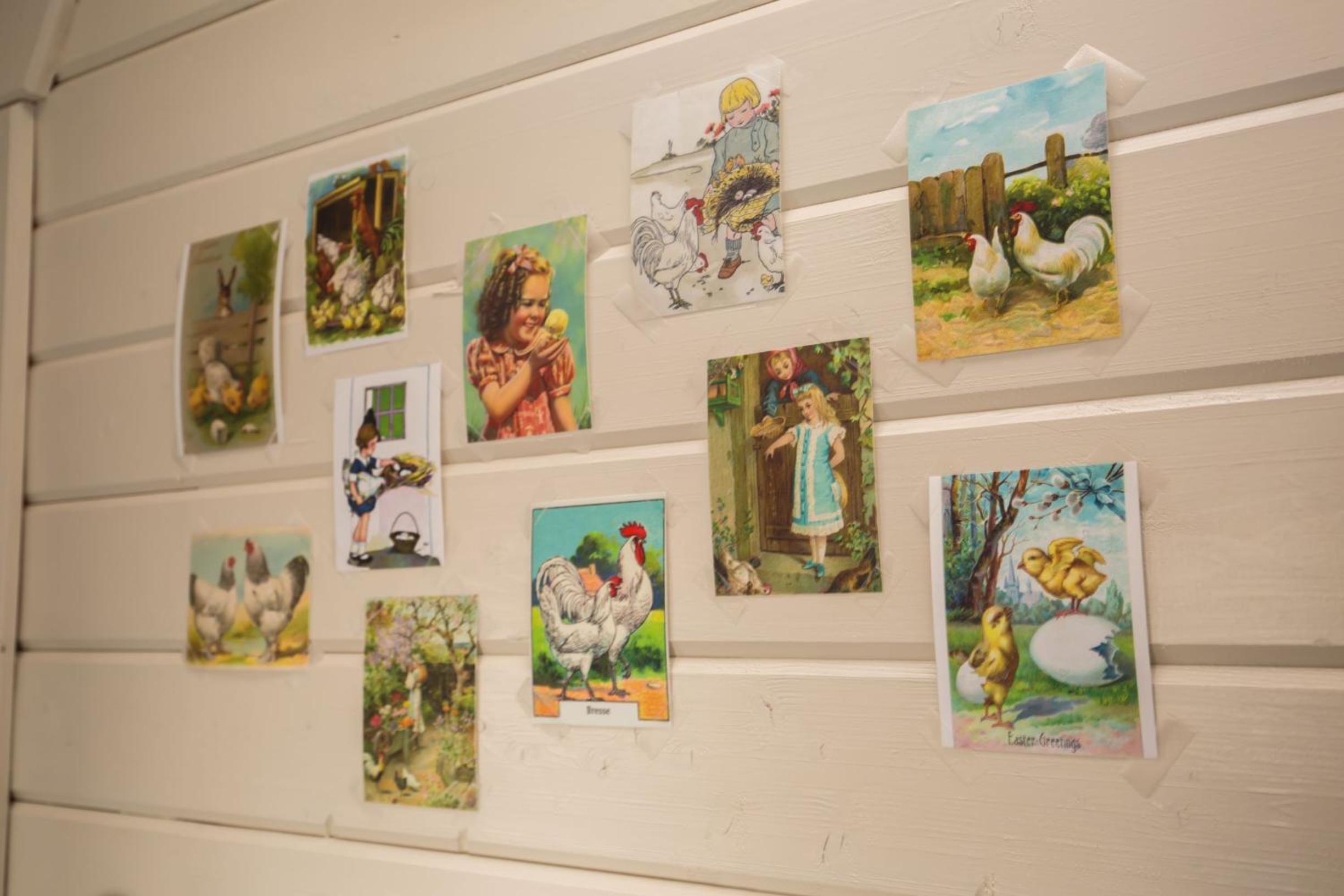 Landelijk logeren bij De Witte Kip - Property Image 27