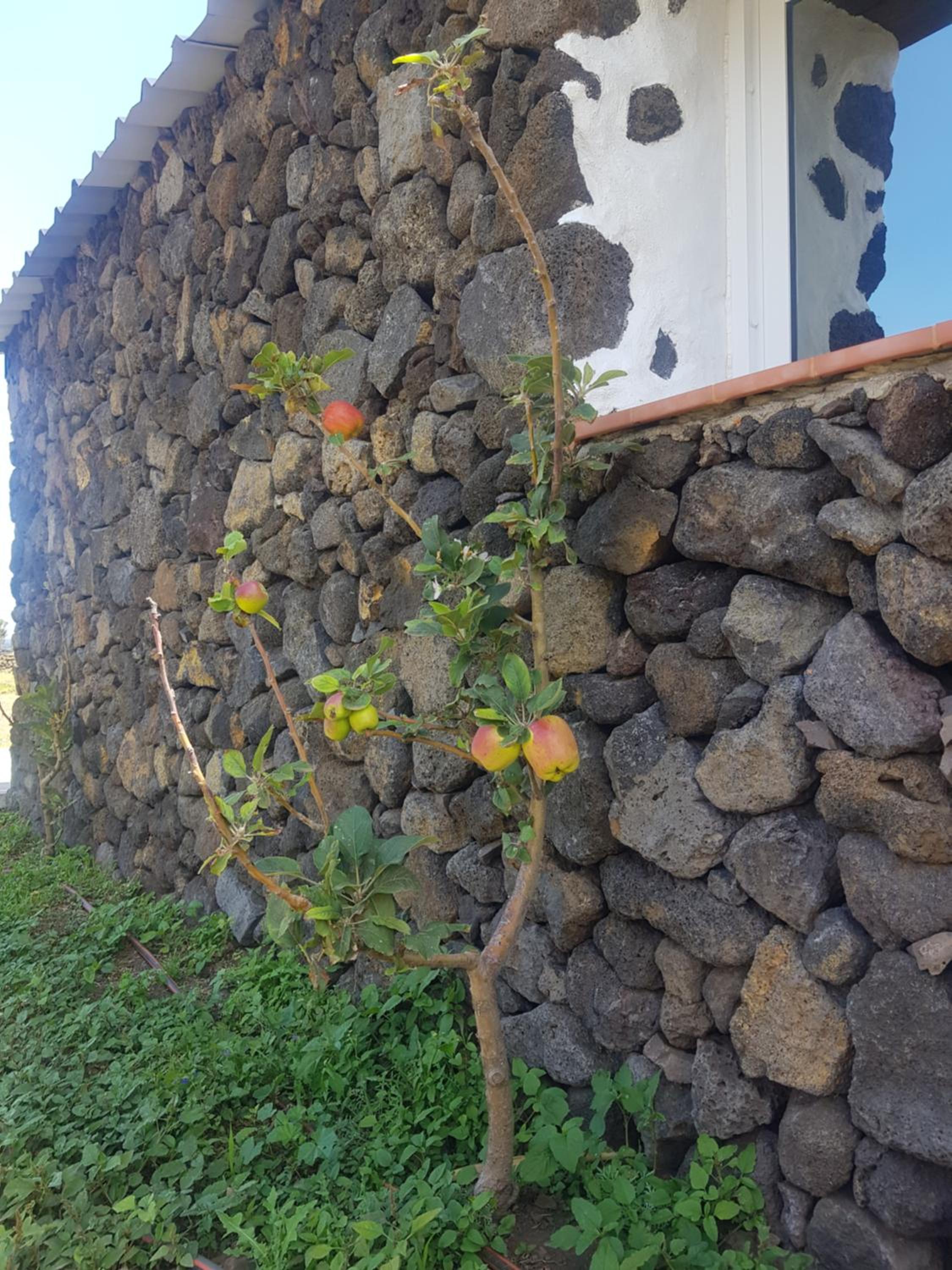 Photo 35