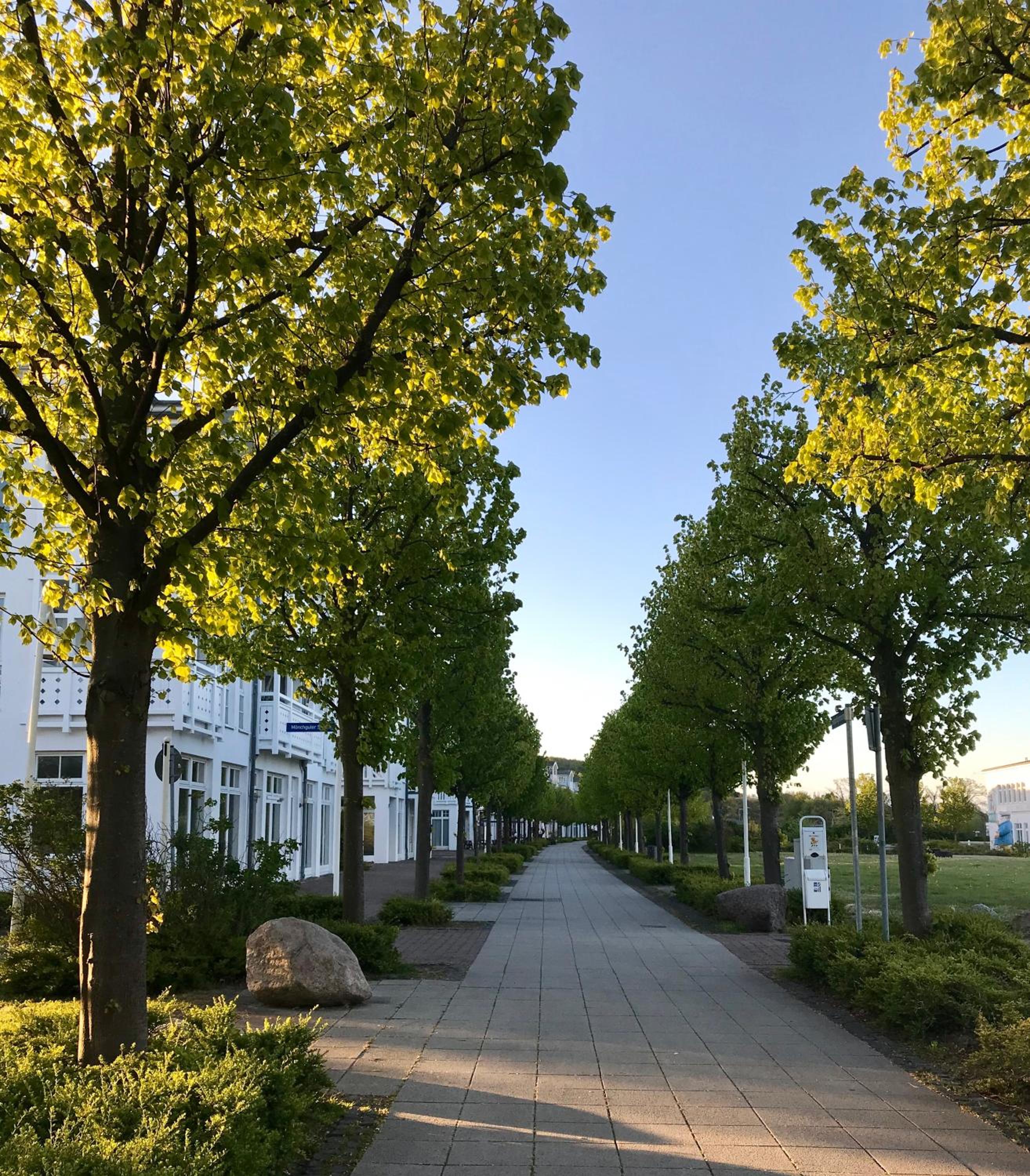 Ferienwohnung