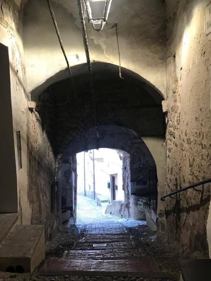 Photo 31