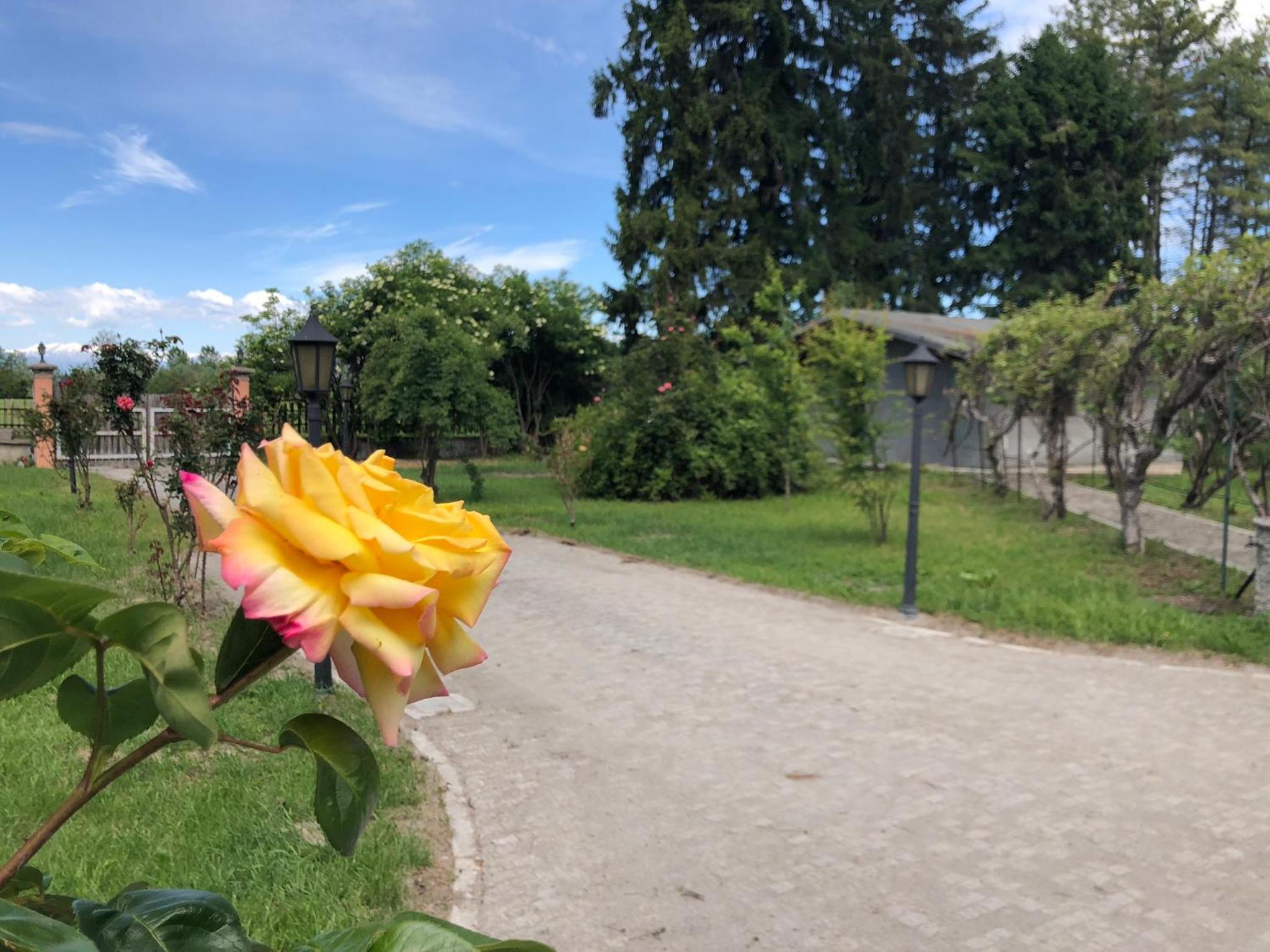 Photo 19