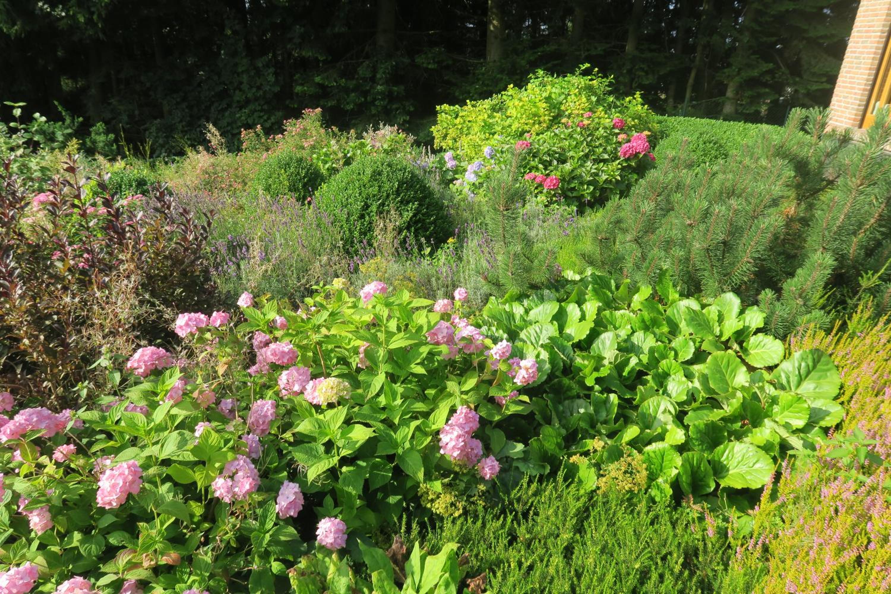 Ferienhaus Sonne, Harz und Sterne
