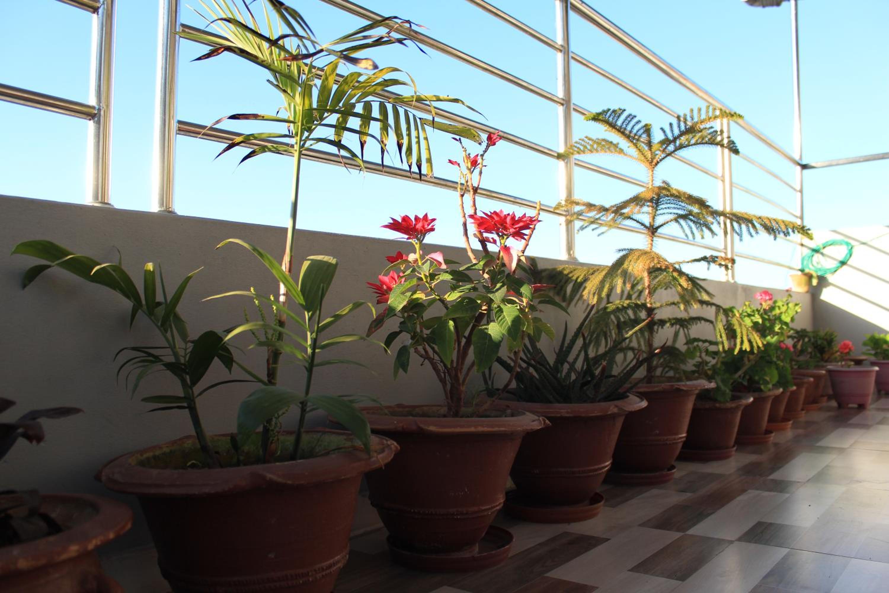 Natures Treat Homestay