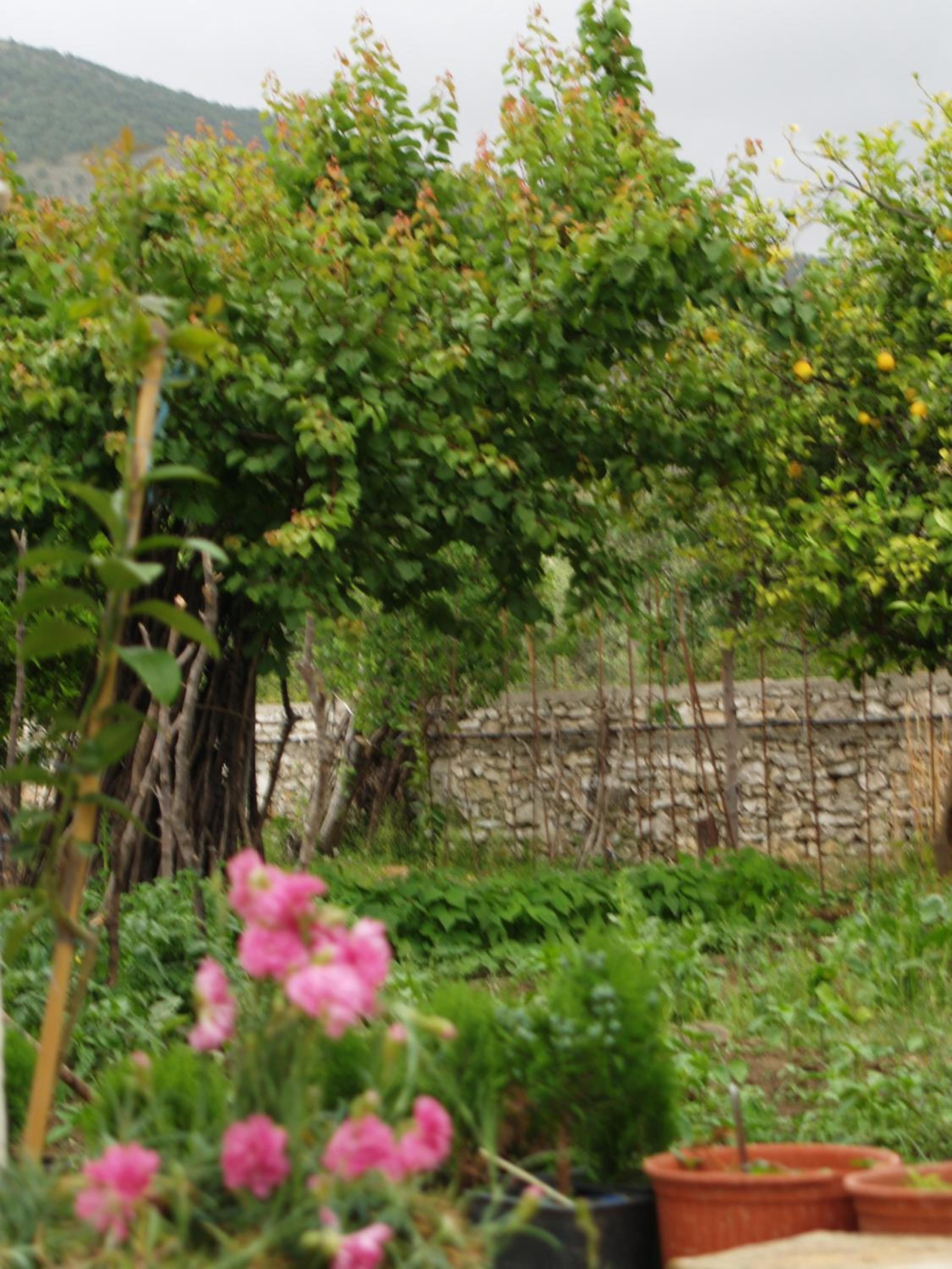 La Casa di Nonna