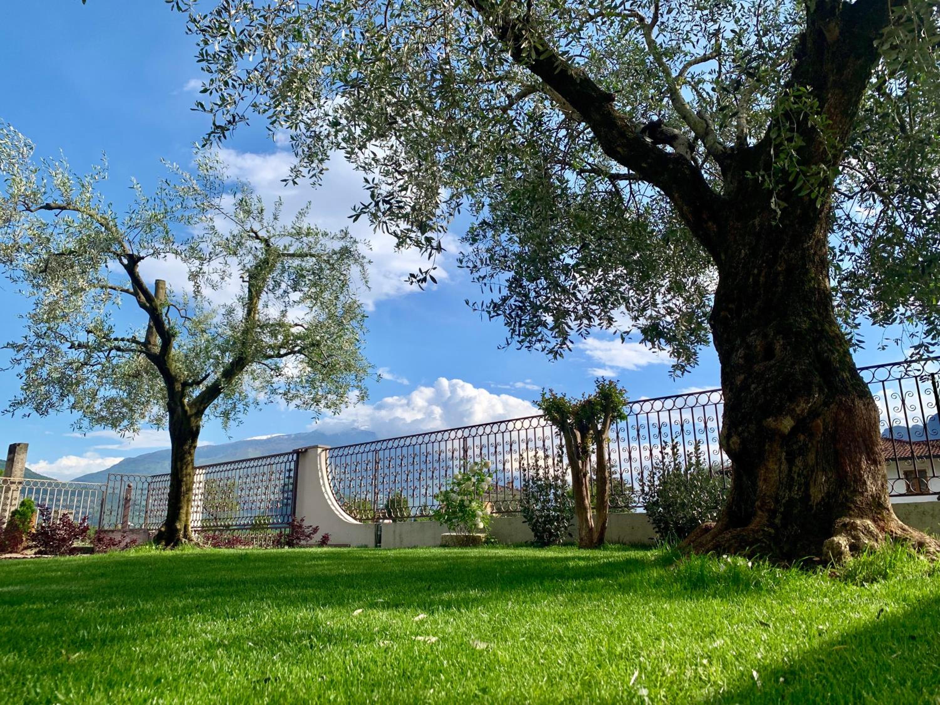 Appartamenti Villa Sonia view 2