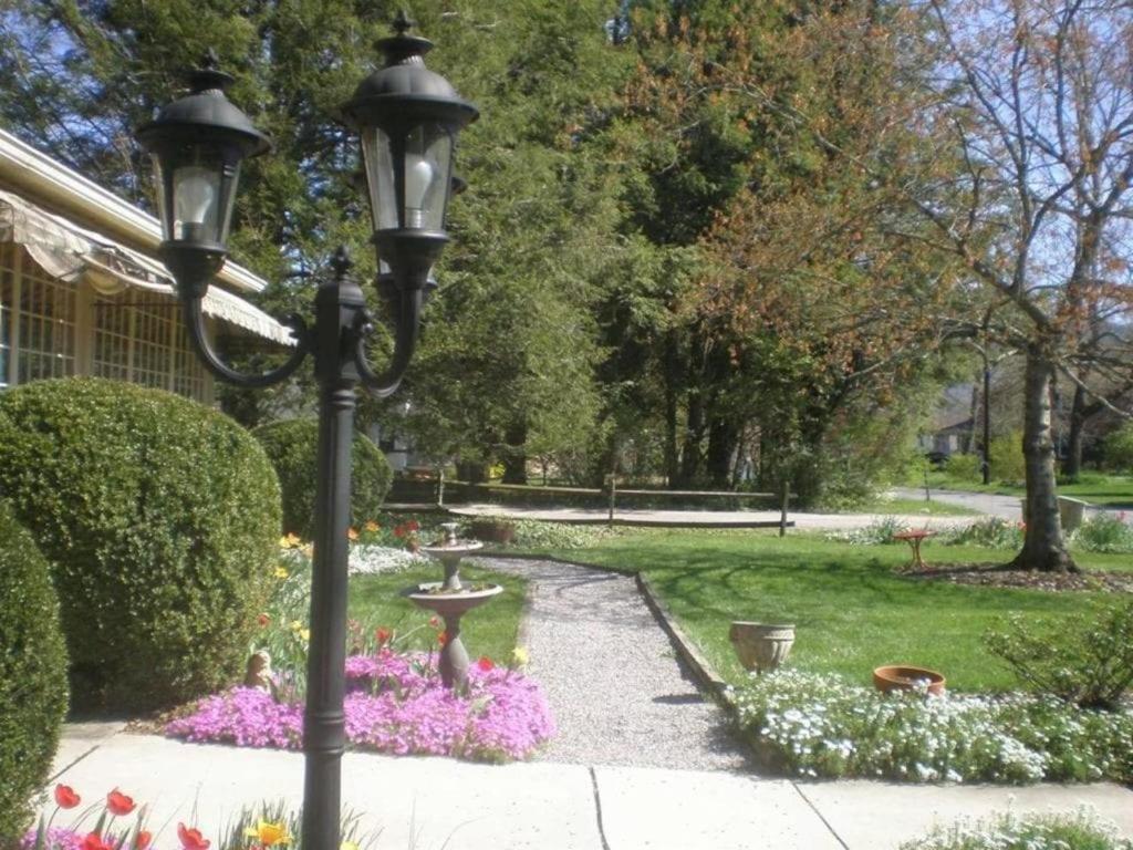 Photo 33