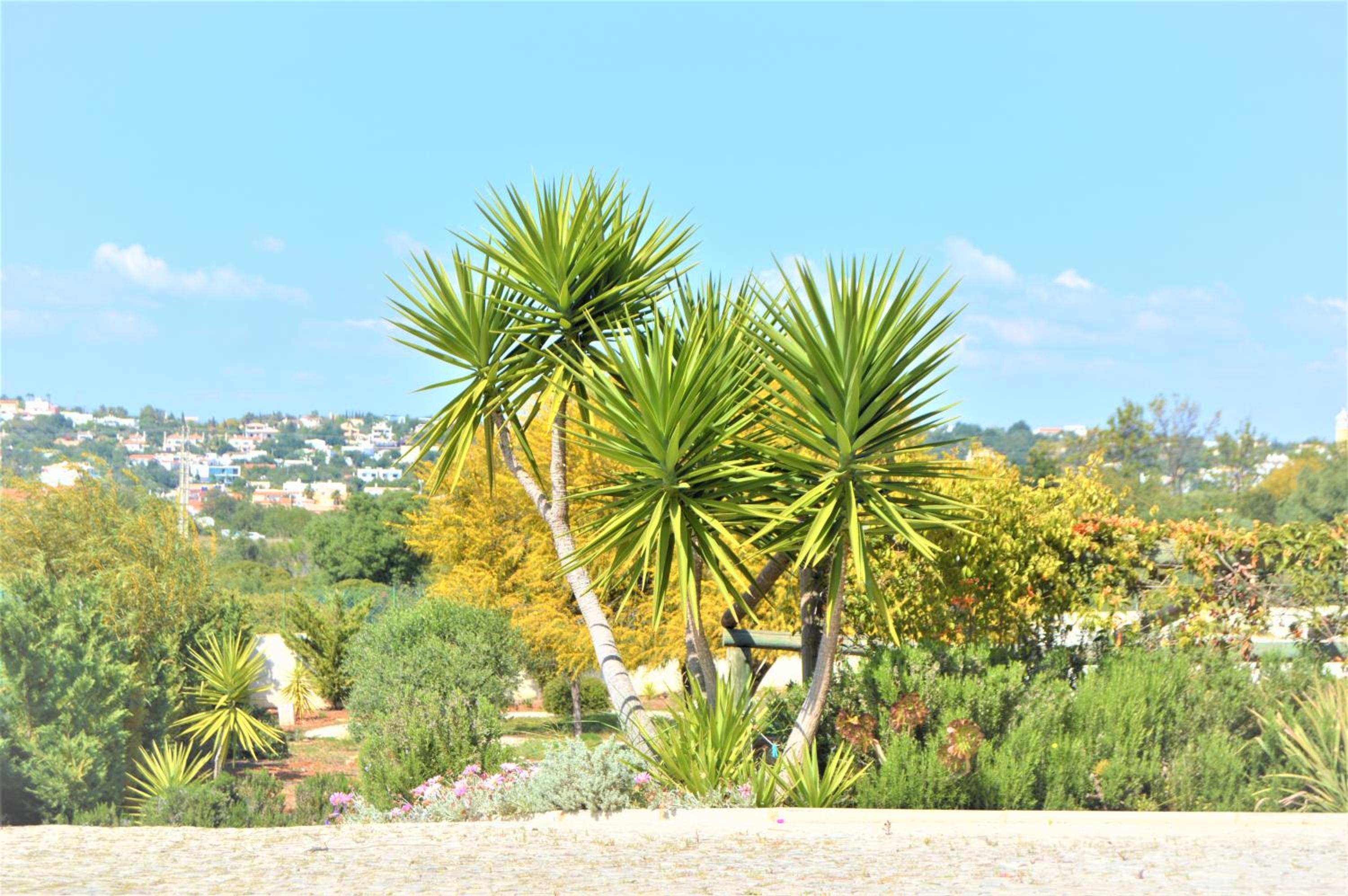 Almancil Vacations - Villa Luna - Property Image 28