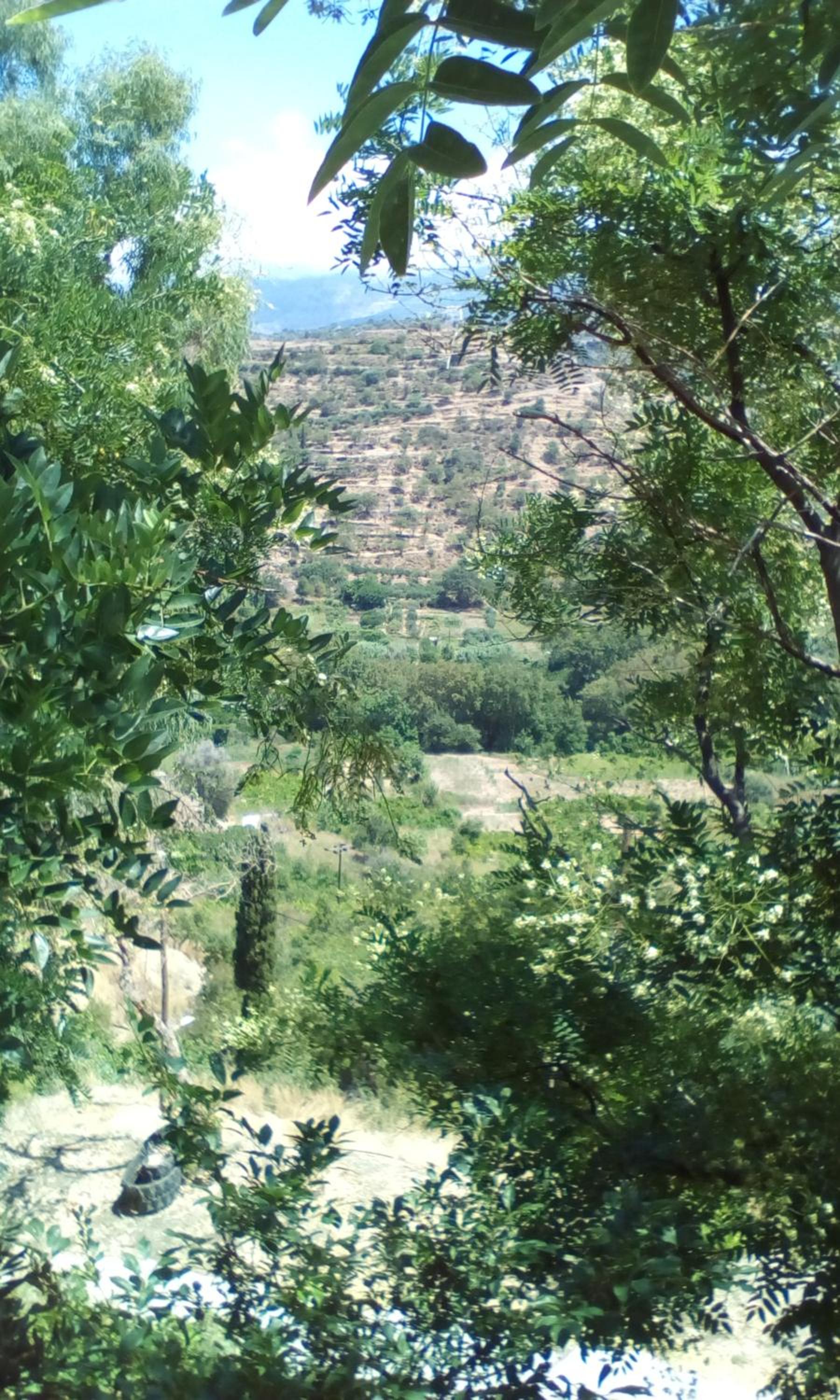 Photo 46