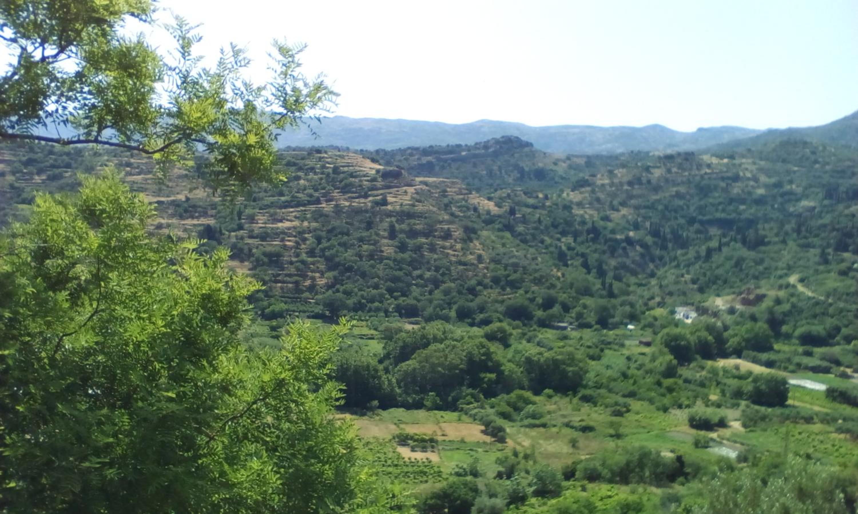 Photo 44