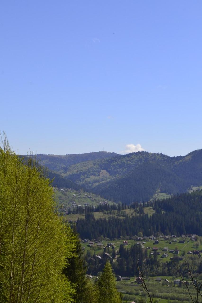Photo 46