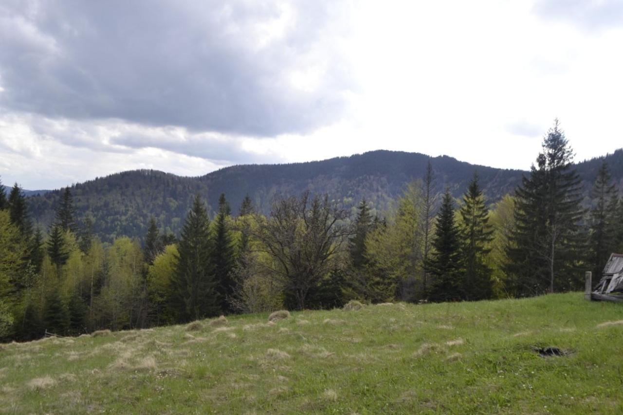 Photo 111
