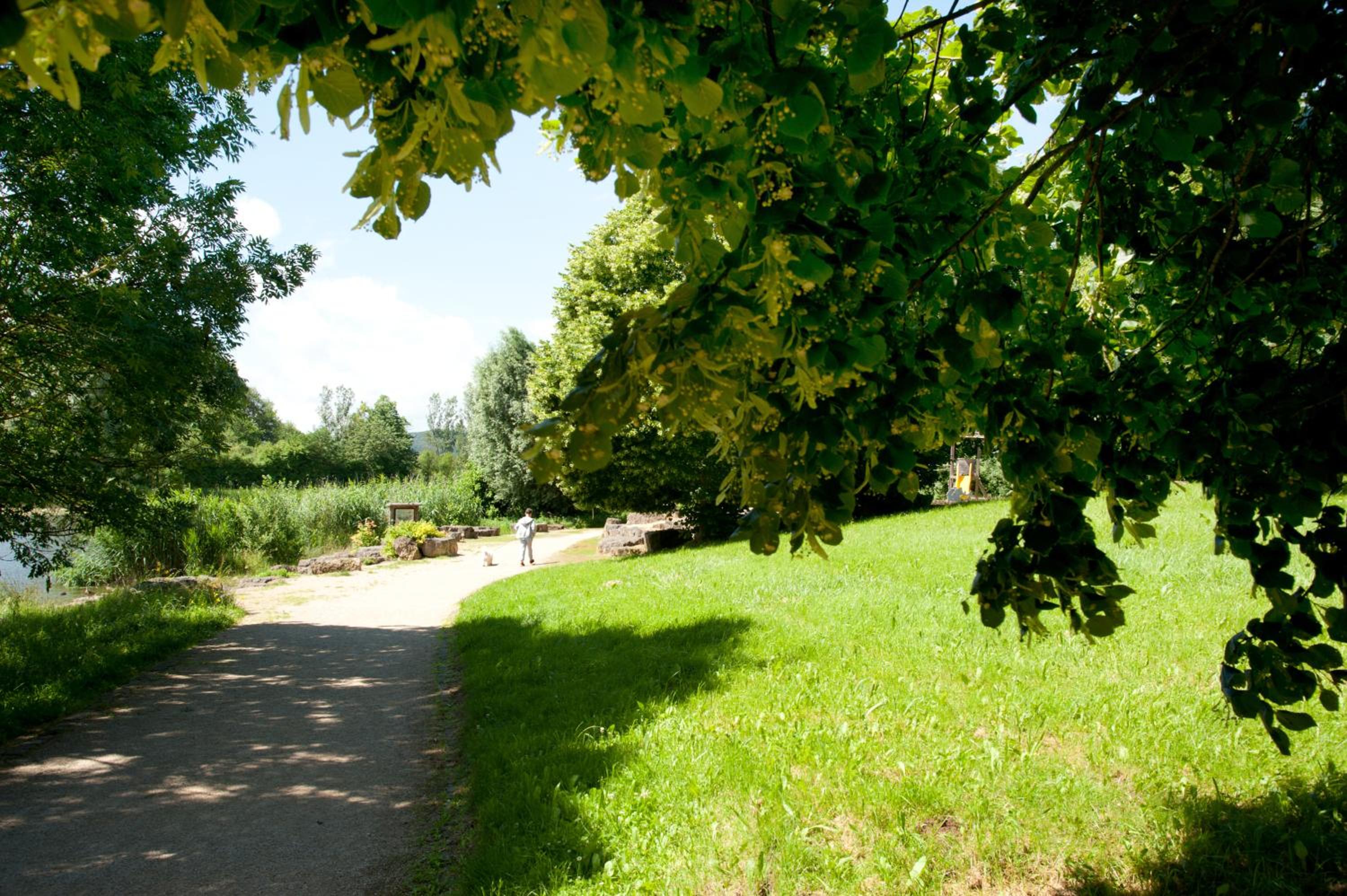 Eifel Relax view 2