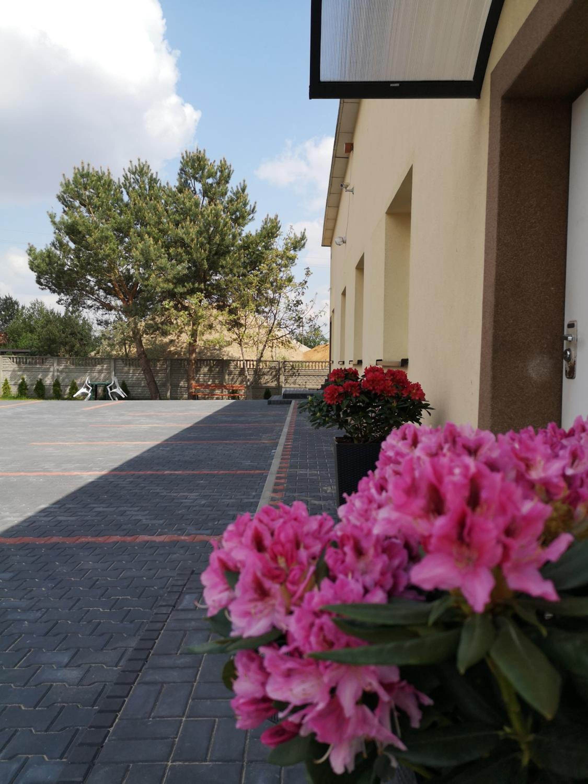 Photo 8