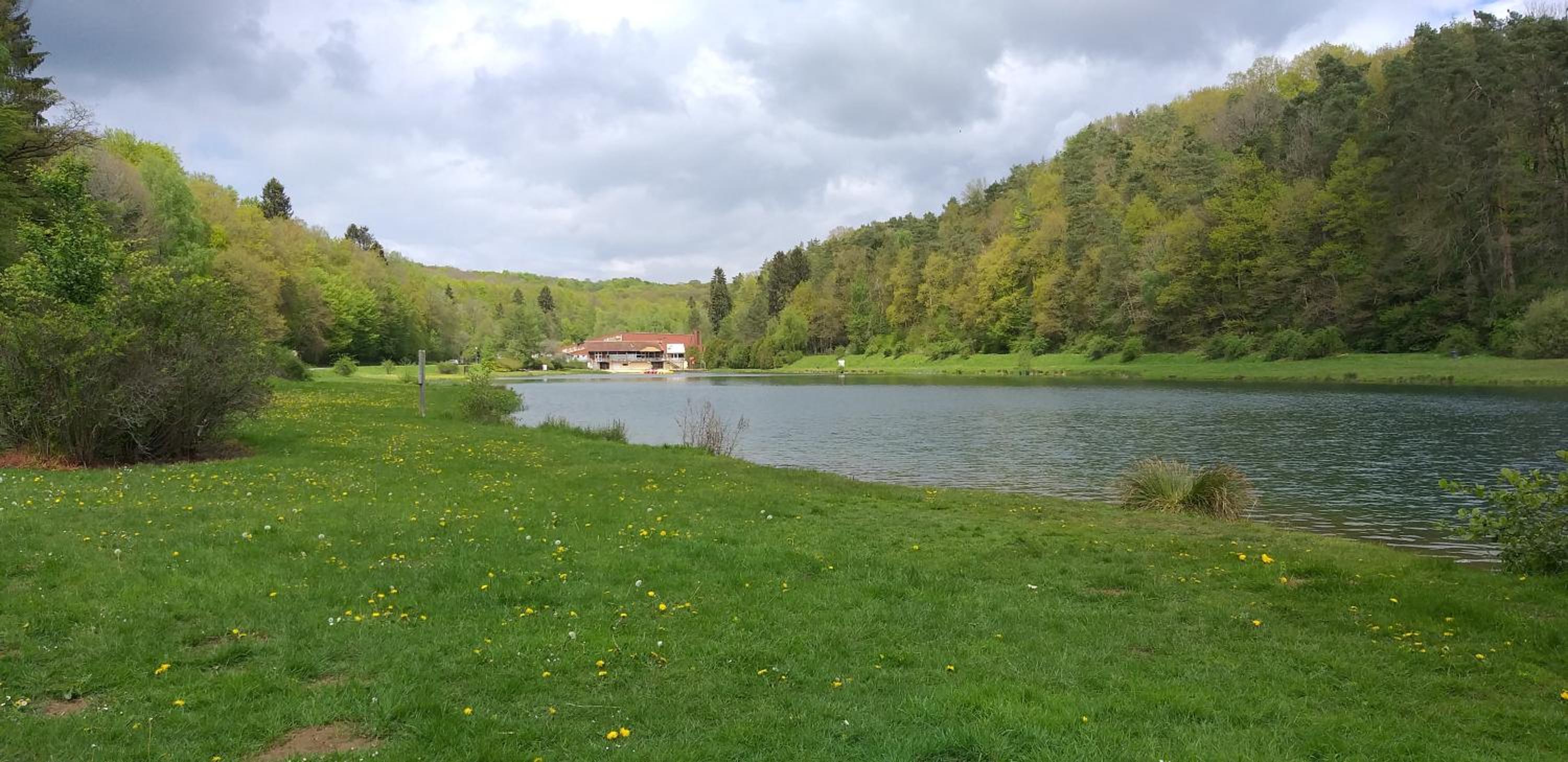 Photo 8
