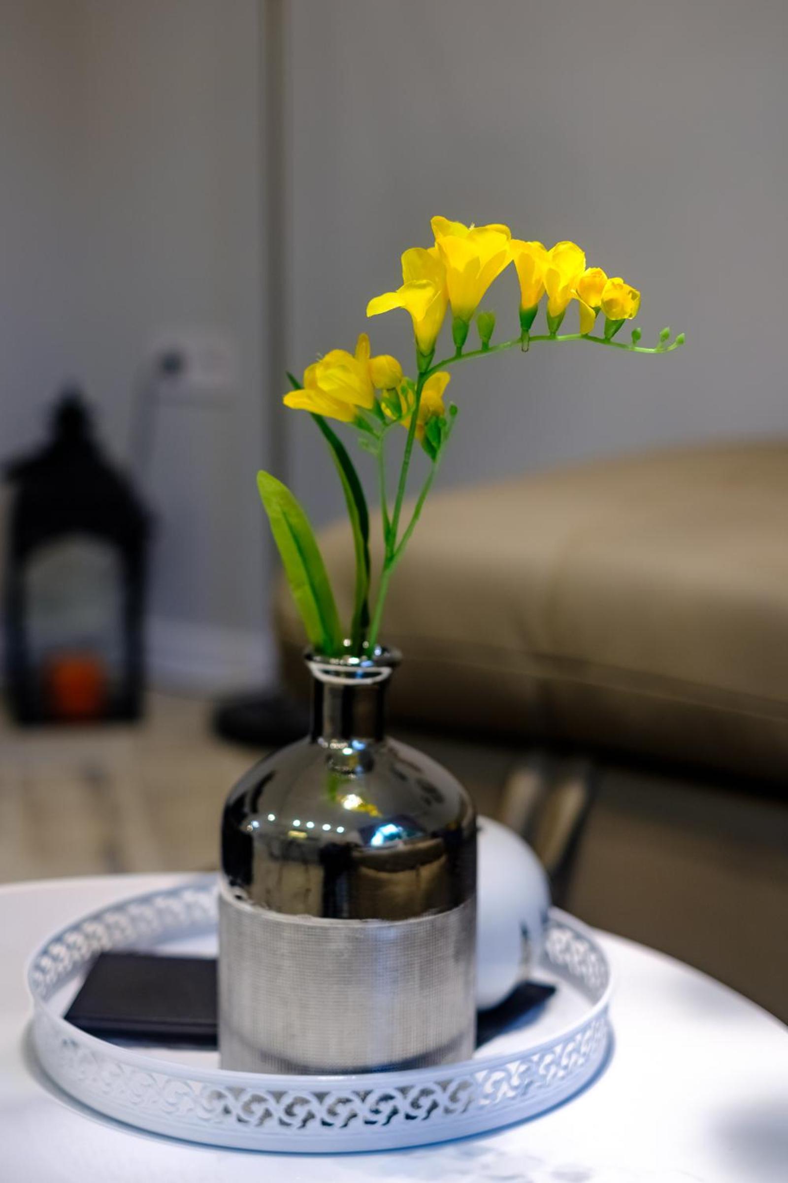 The Olive Green House - City Center - Free Parking