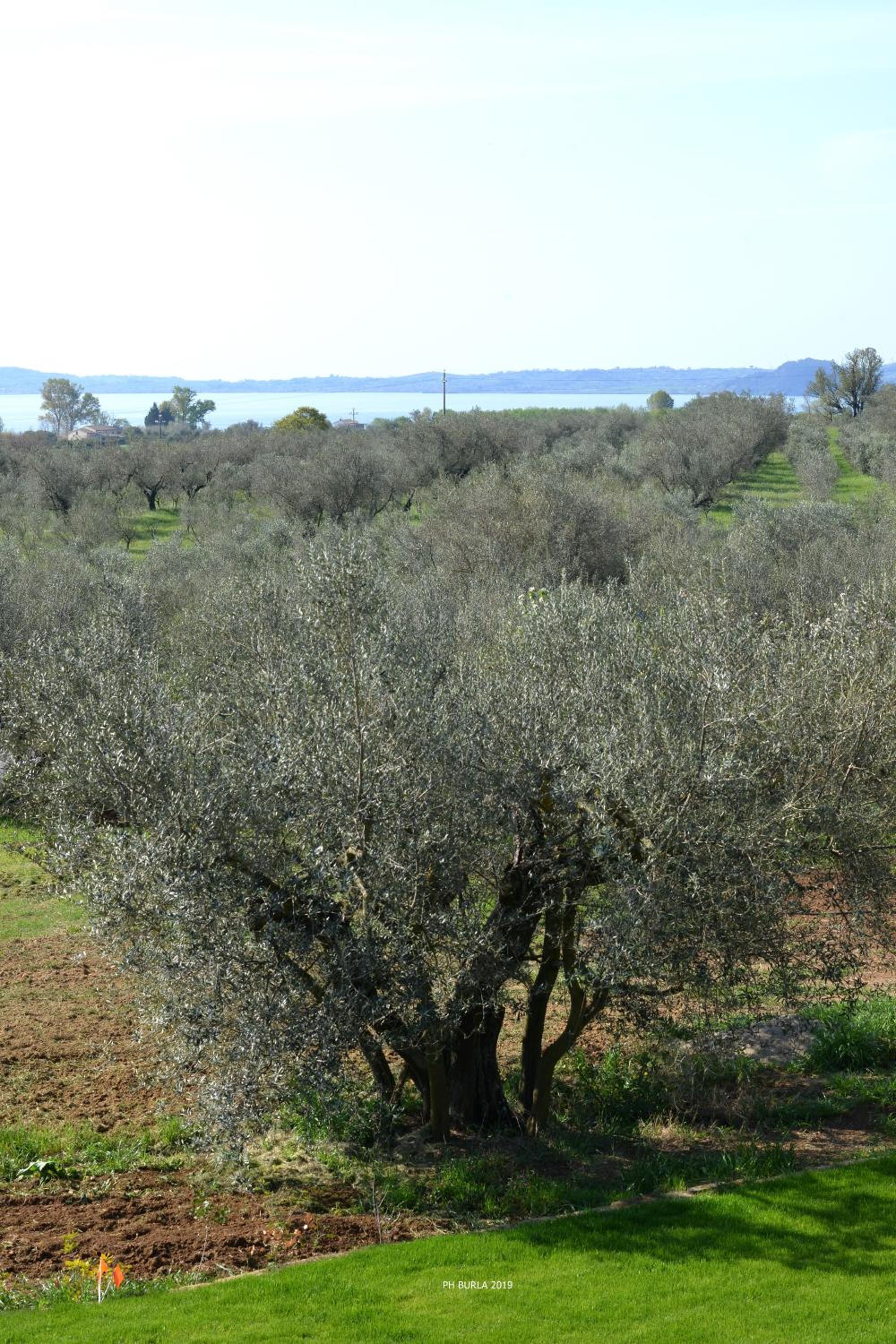 Photo 43