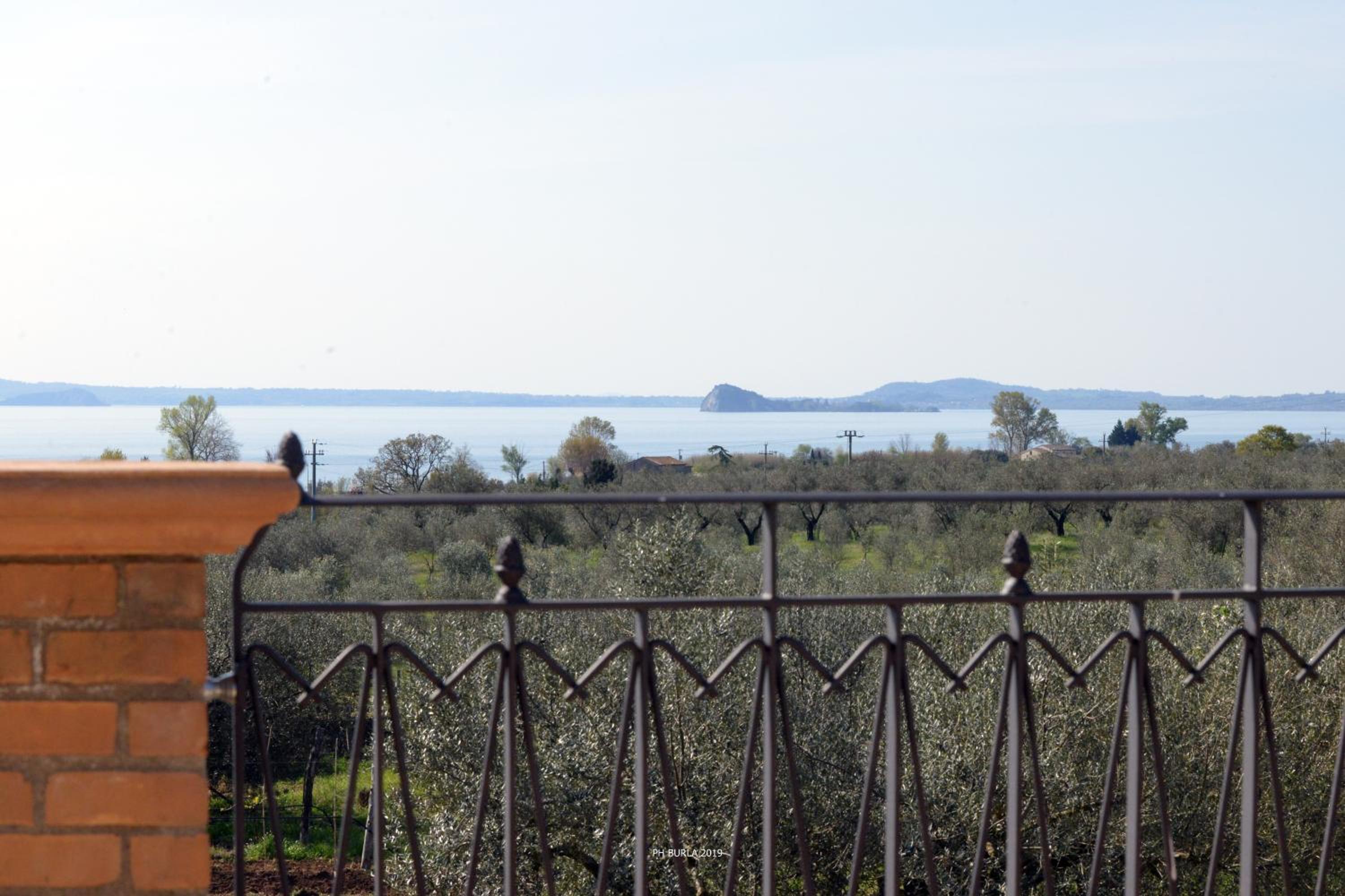 Il Casale degli Ulivi view 4