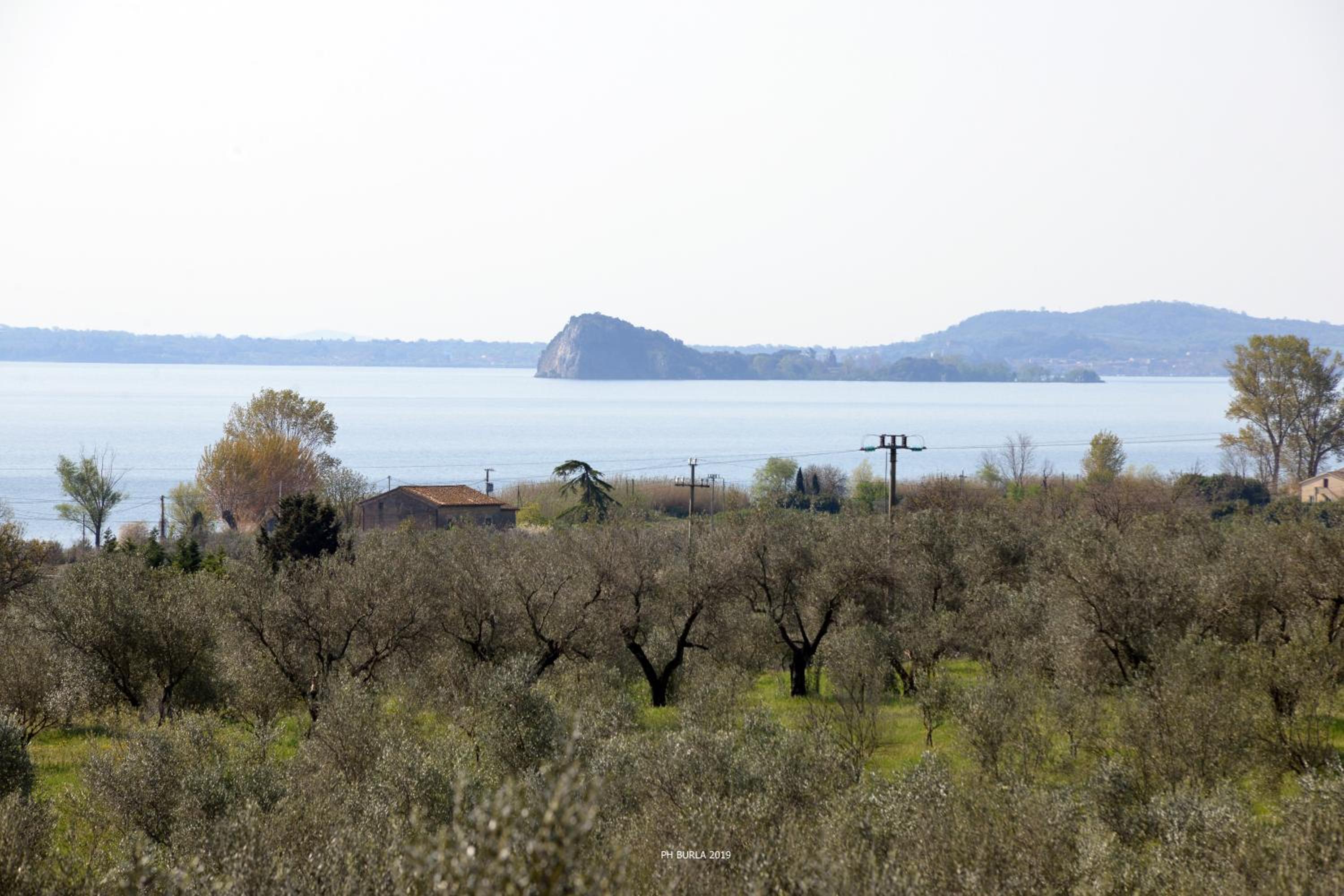Il Casale degli Ulivi view 3