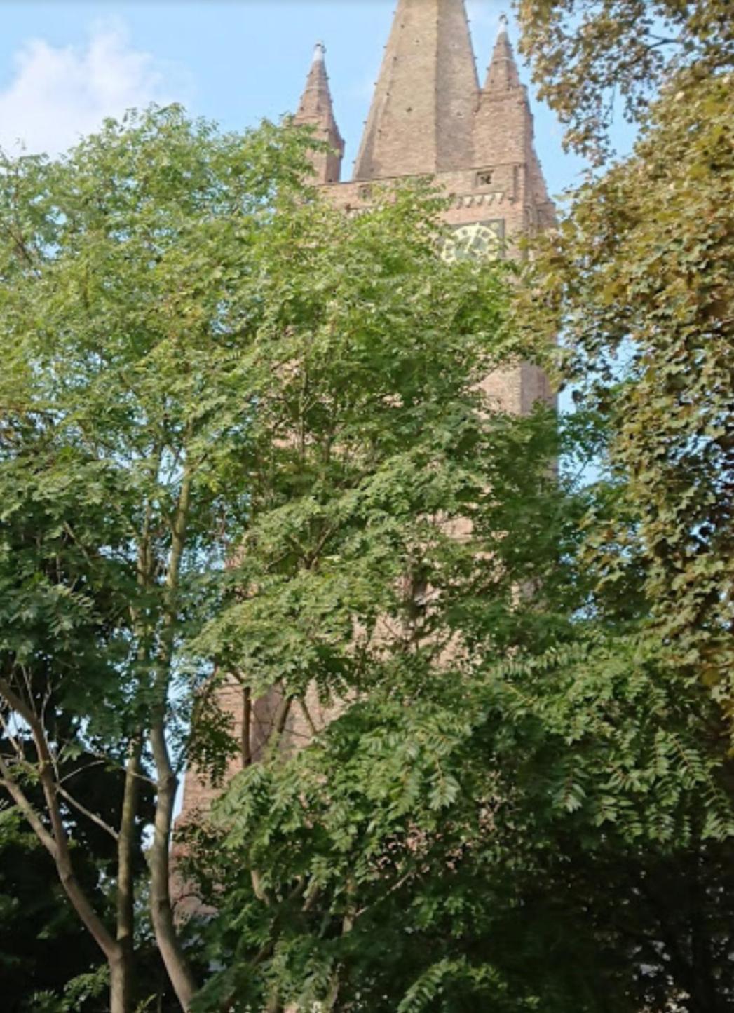 garden
