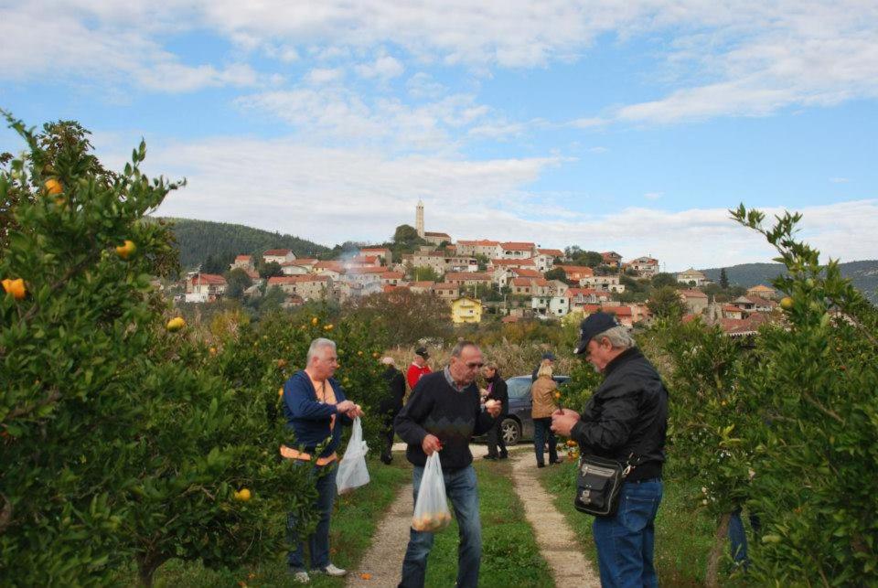 Photo 45