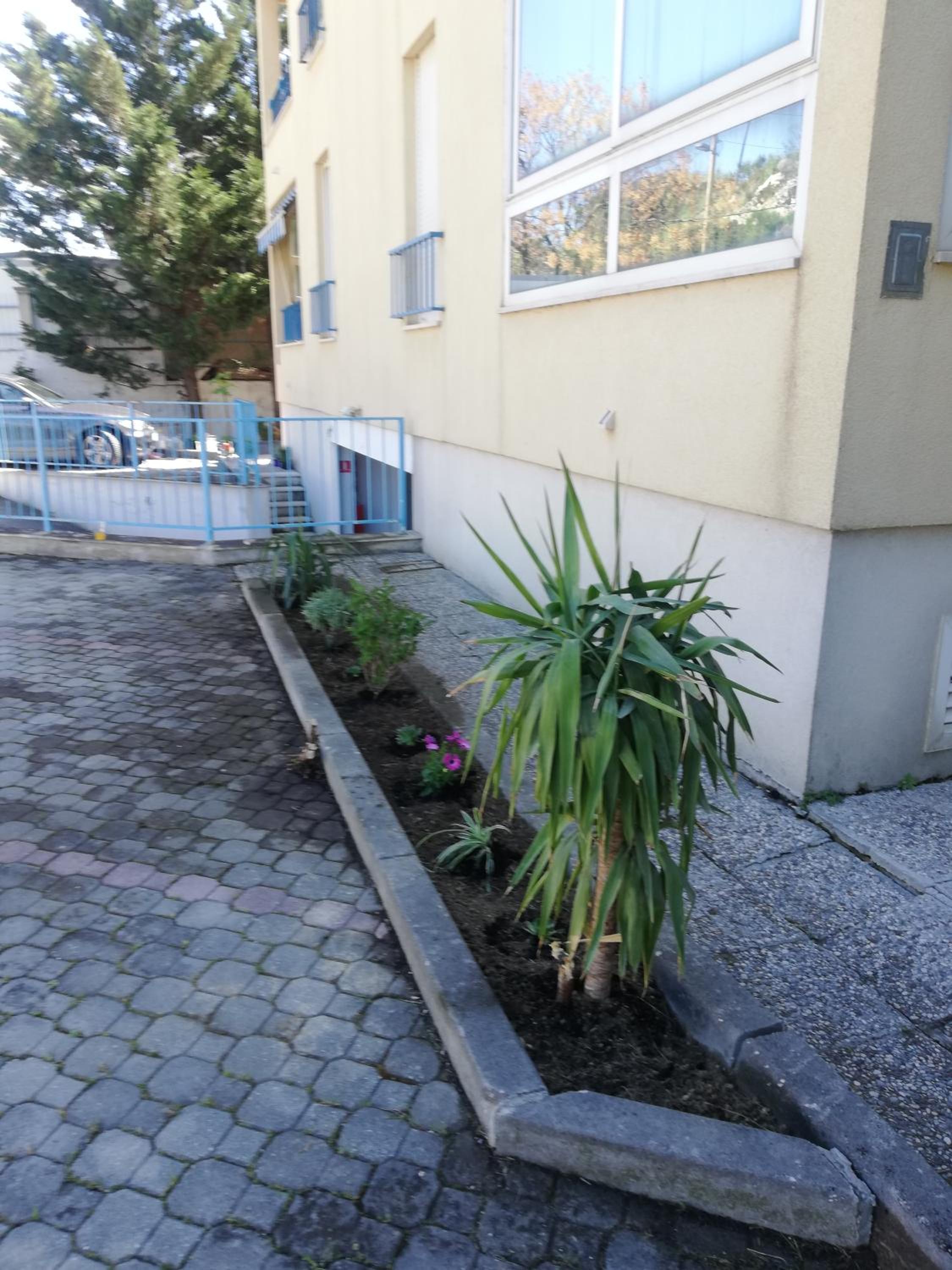 Photo 10
