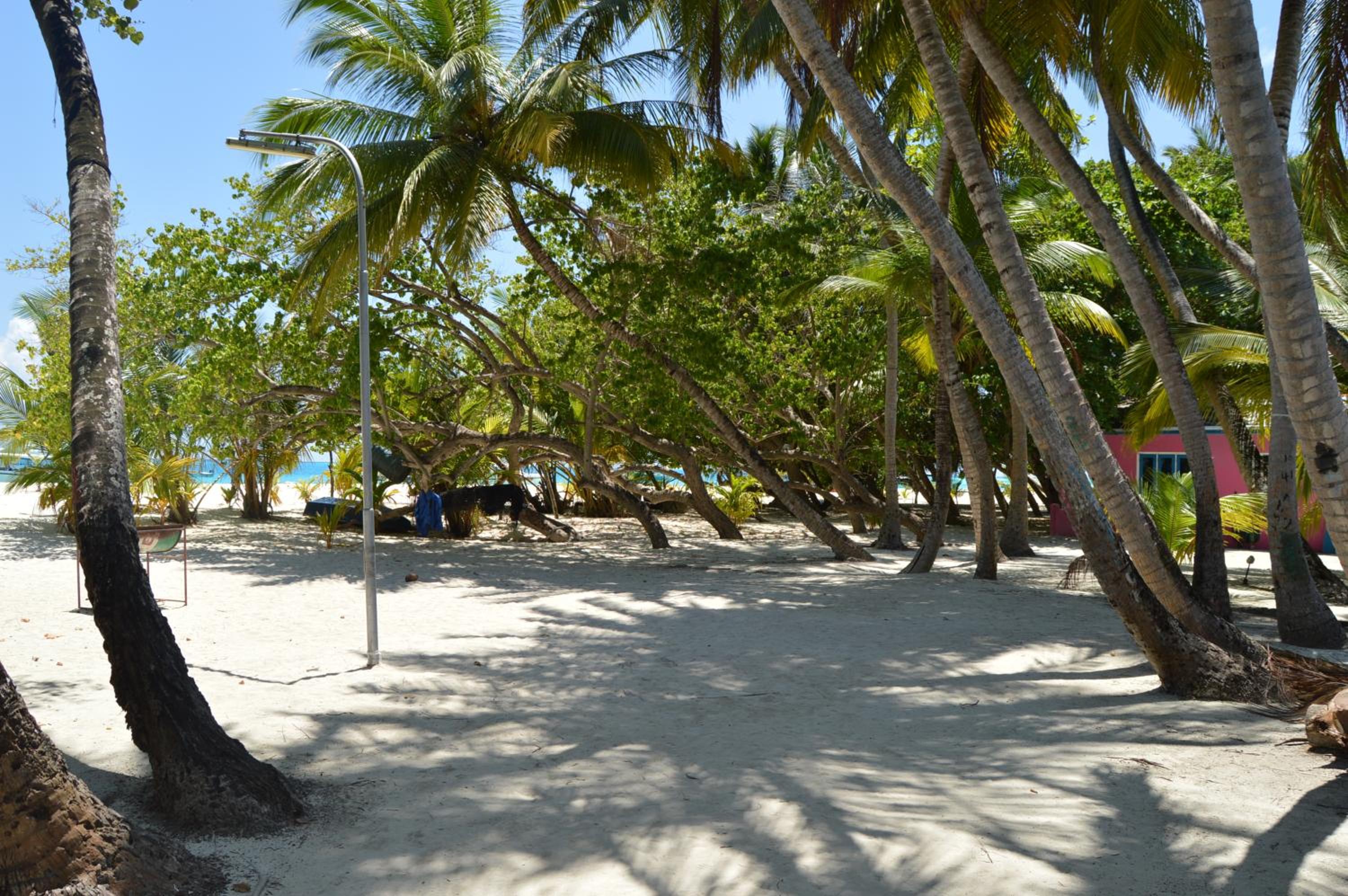 Kinan Retreat