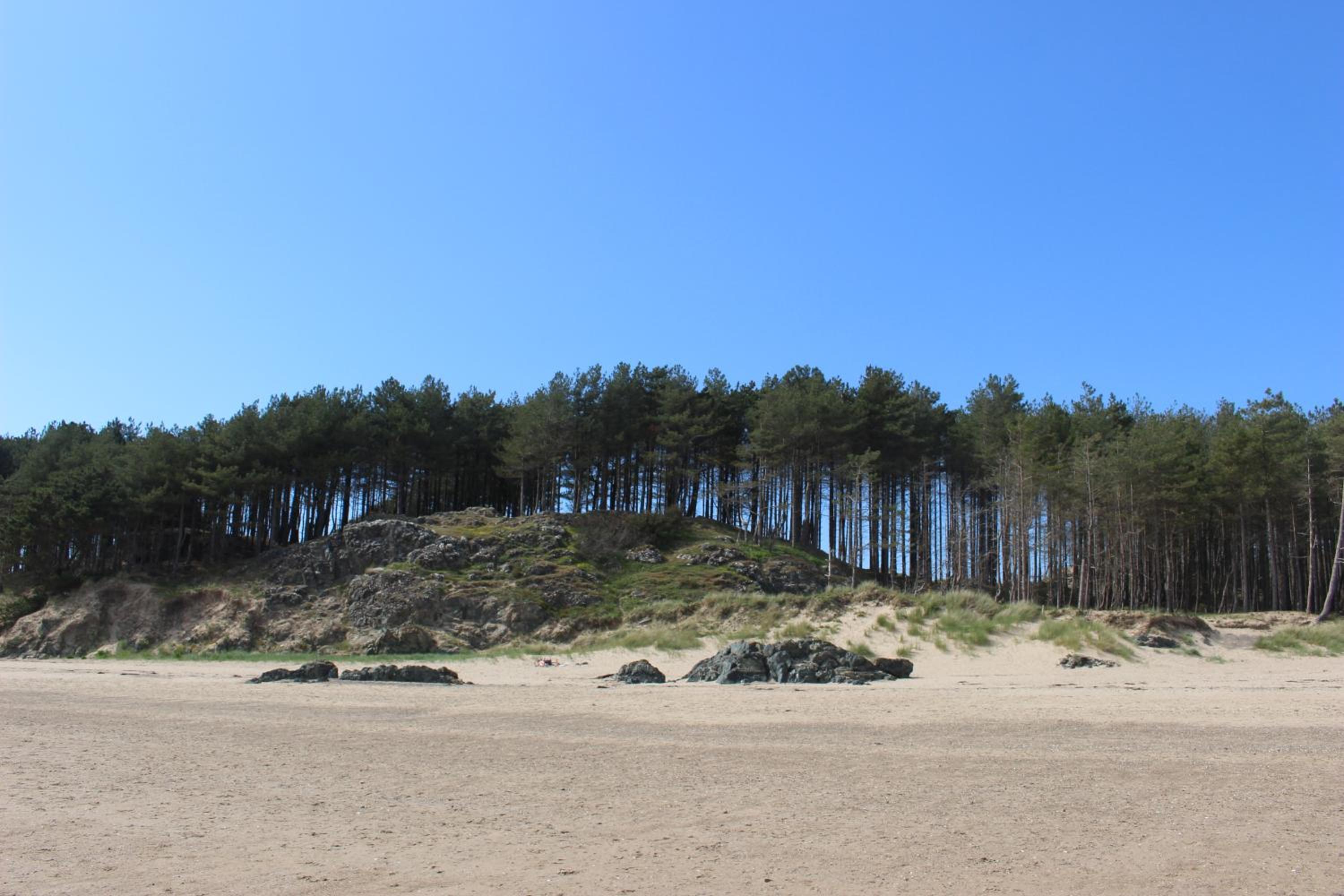 Gwenallt