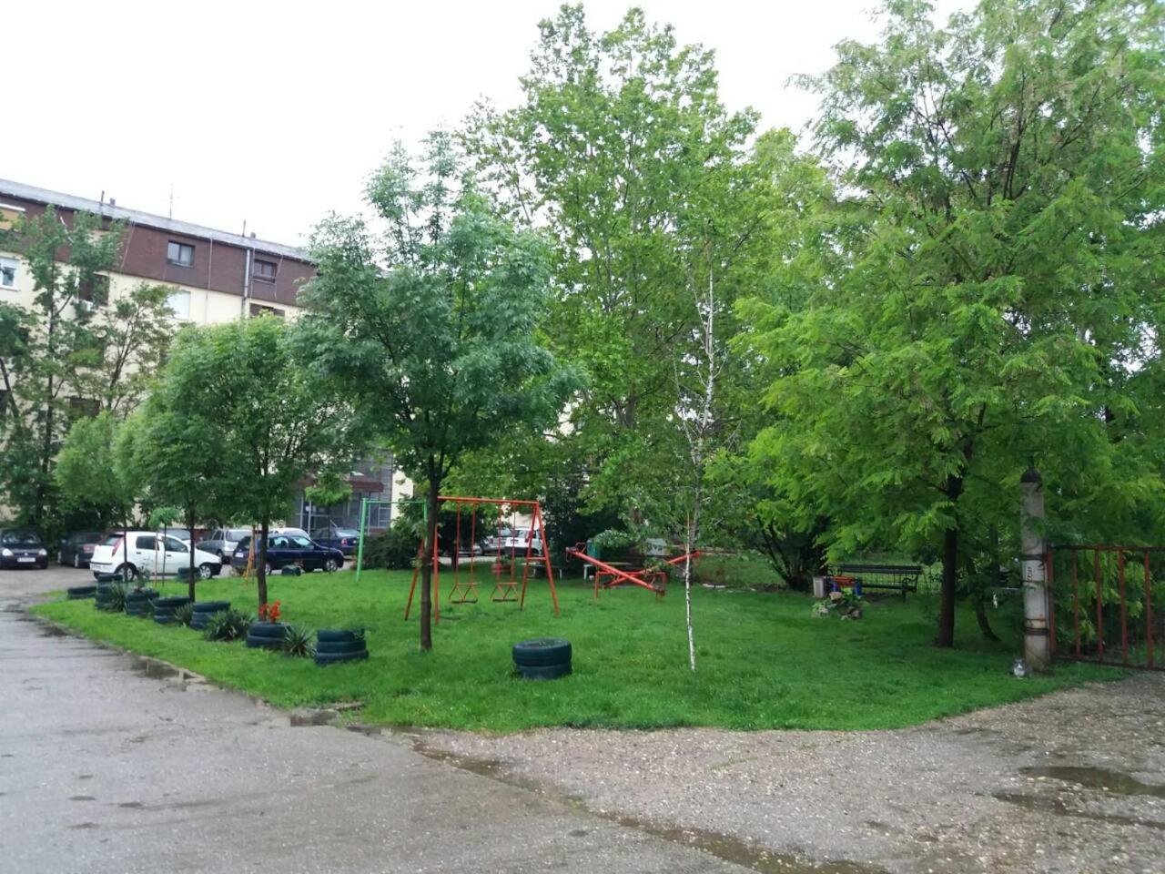 Photo 11