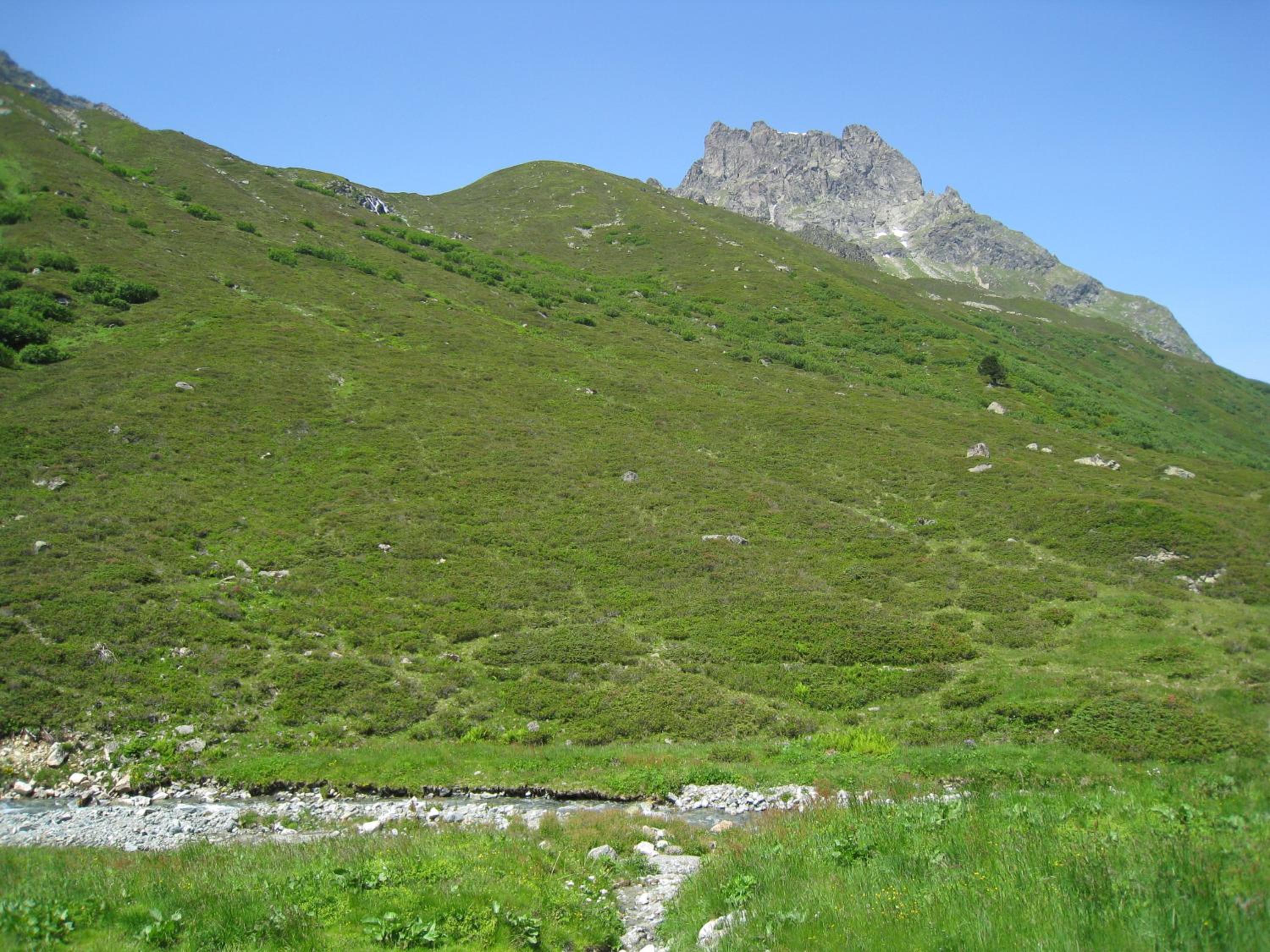 Photo 44