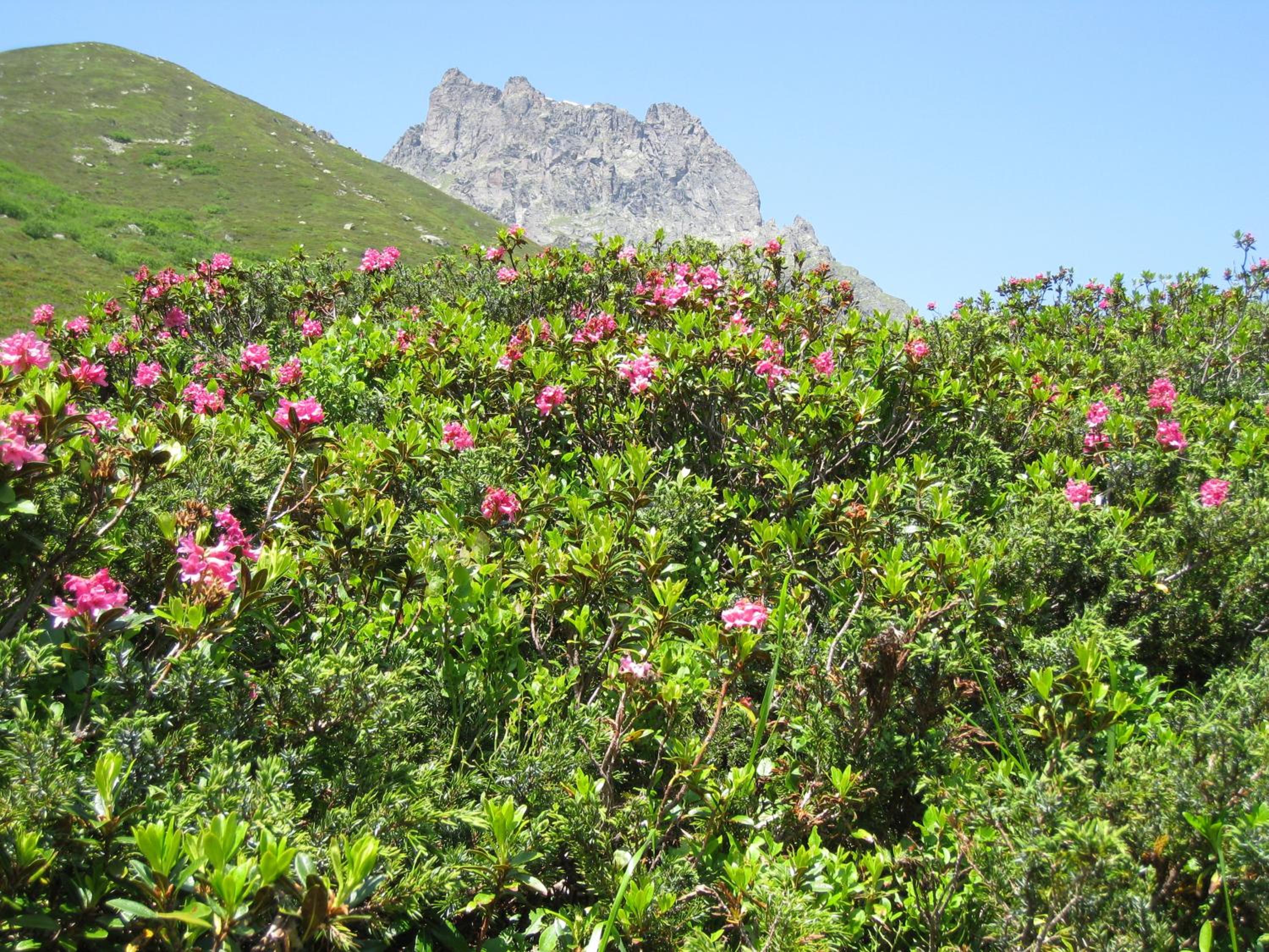 Photo 45