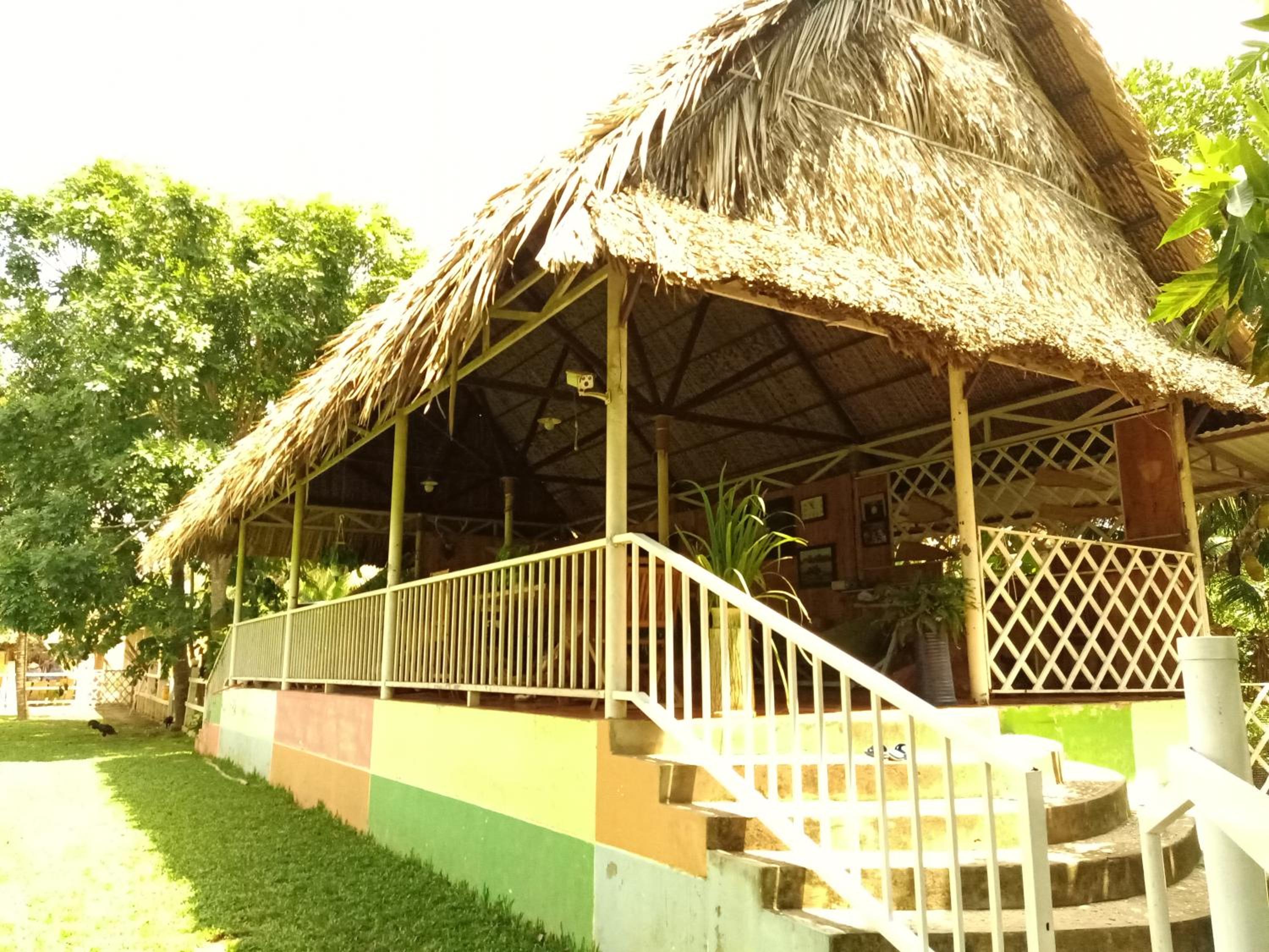 Photo 44