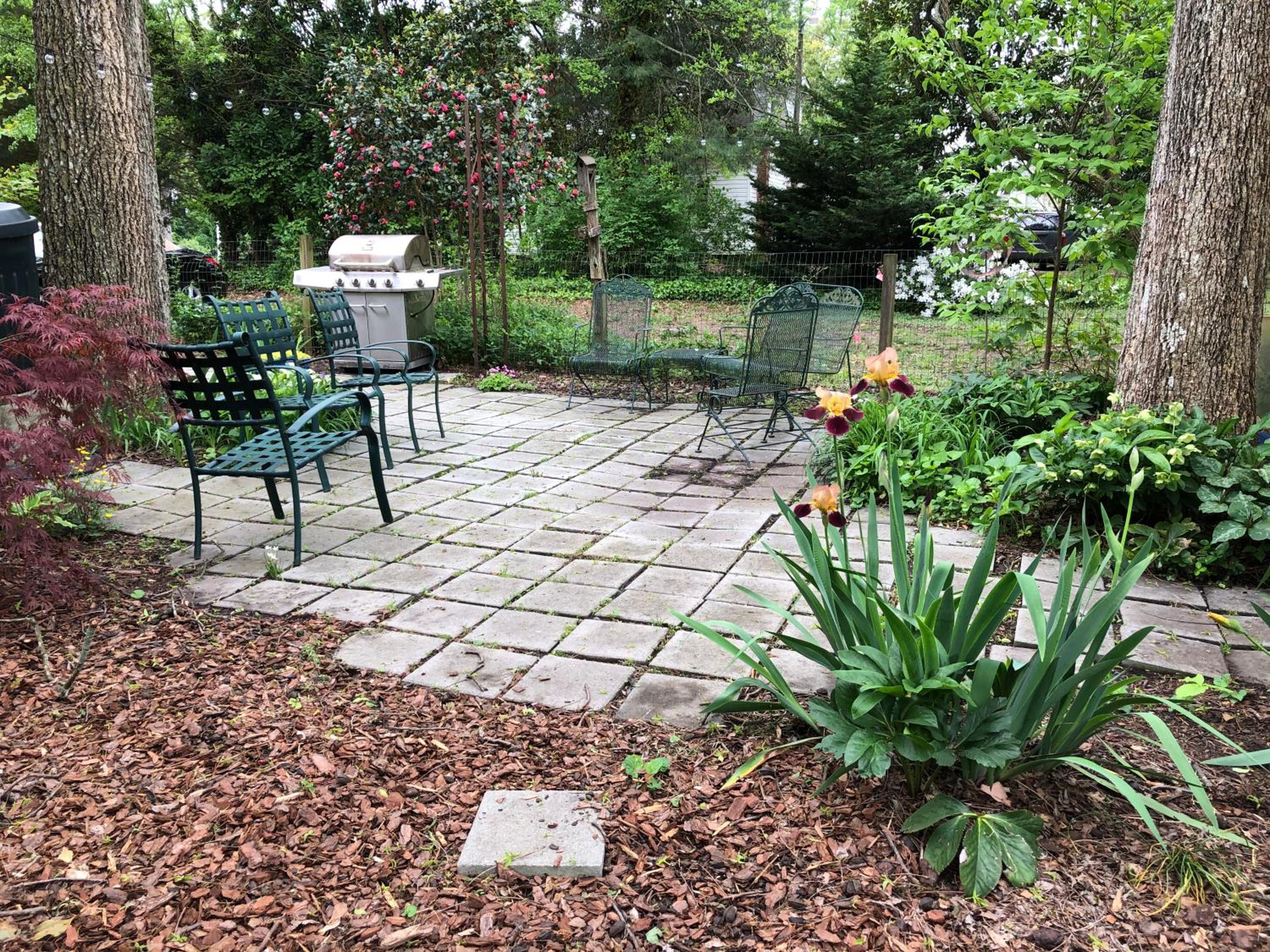 Photo 14