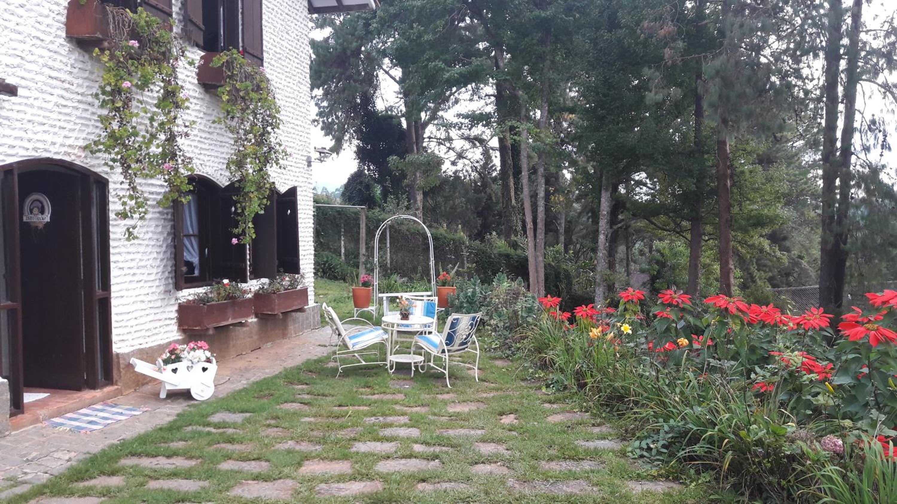 Chalé pinheiro velho