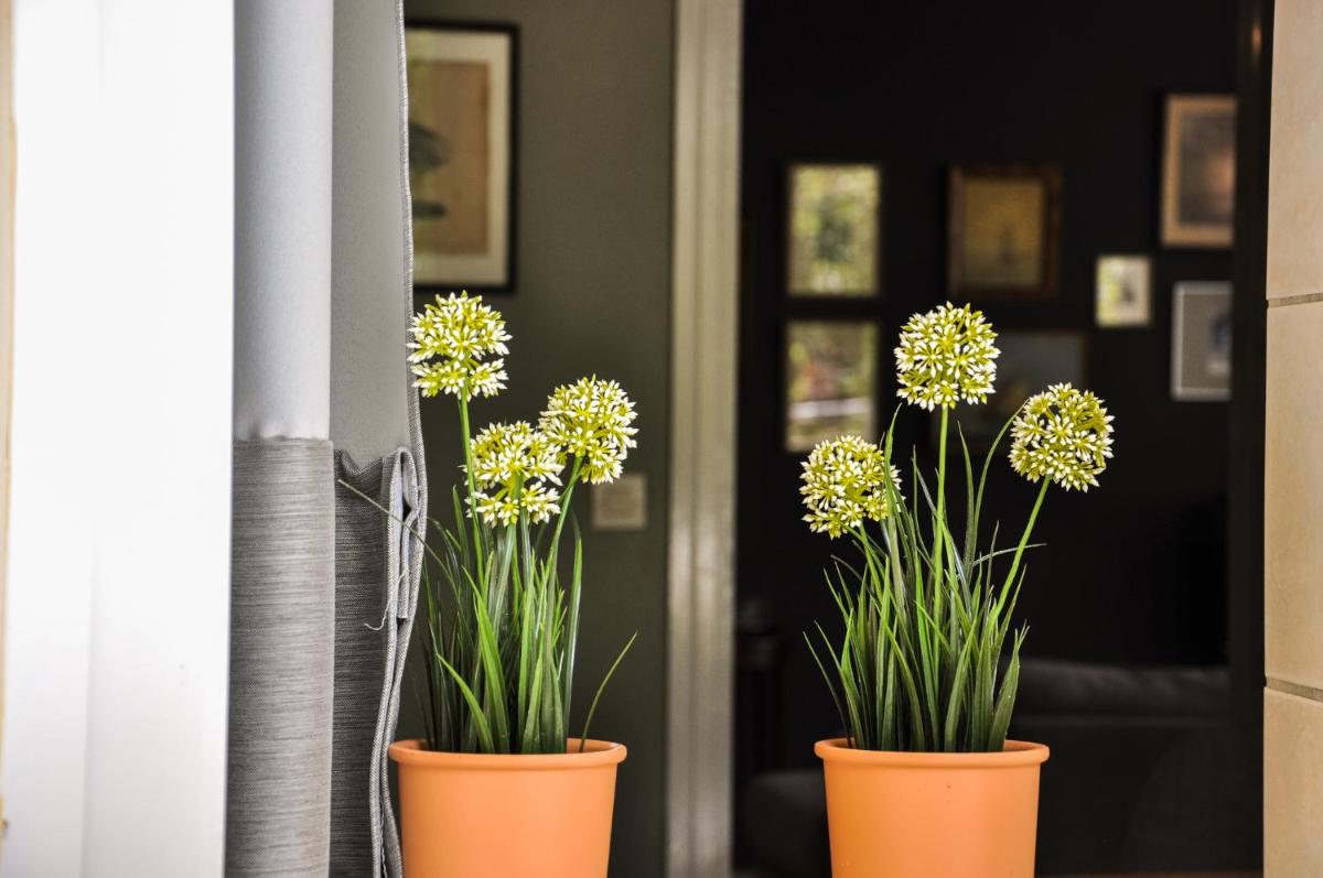 Kifissia Naxou Maisonette photo 4
