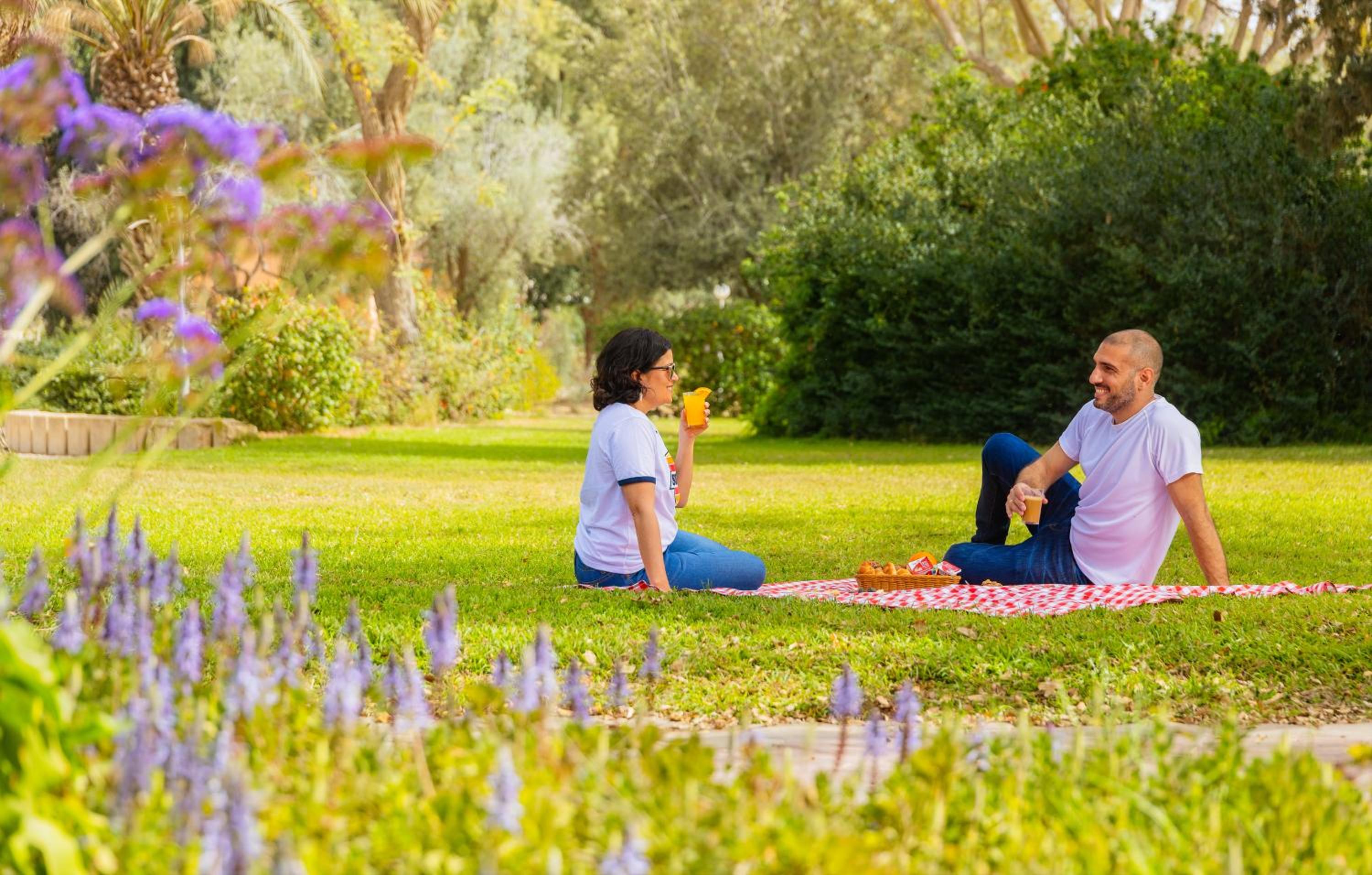 Gvulot - Kibbutz experience