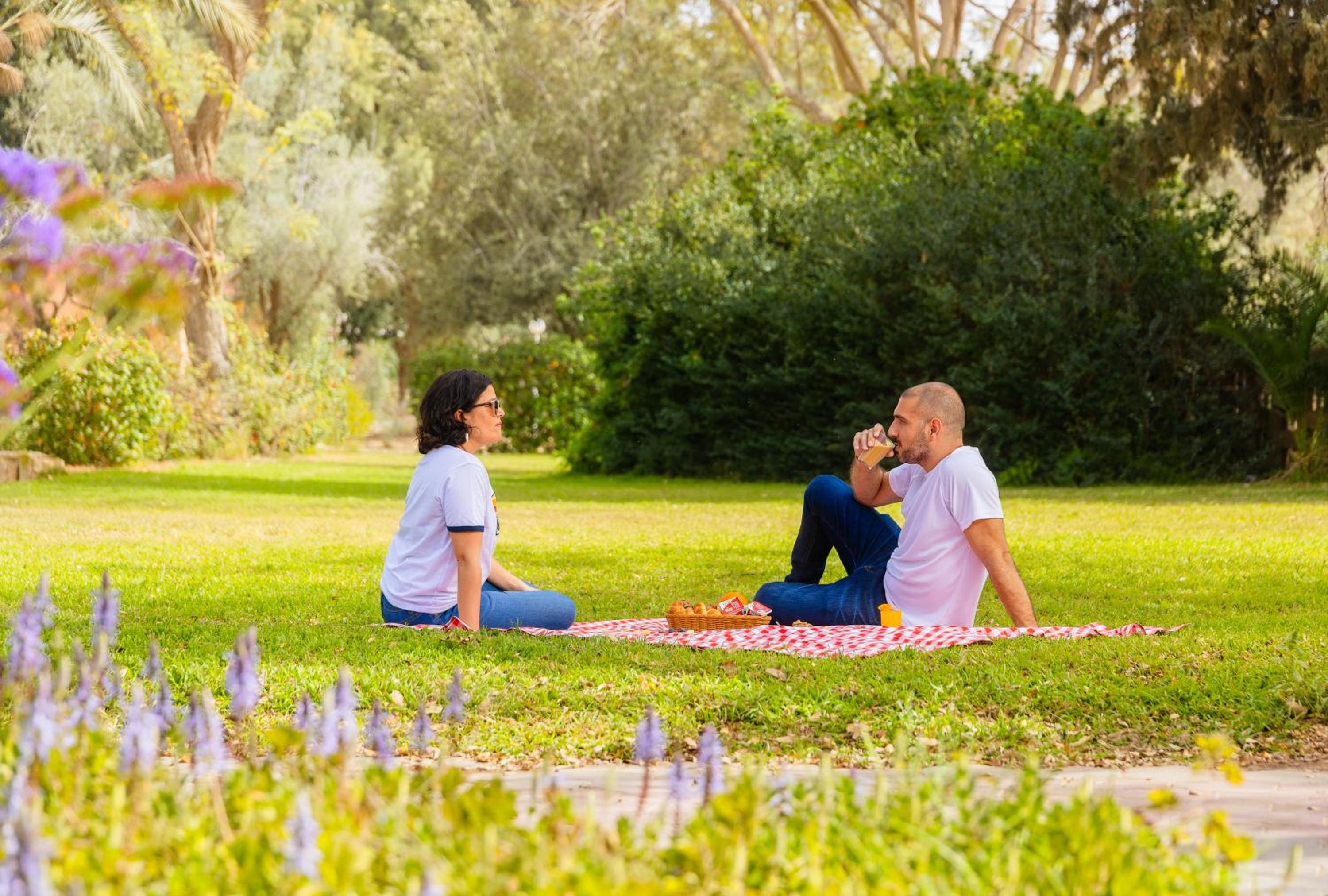 Gvulot - Kibbutz experience
