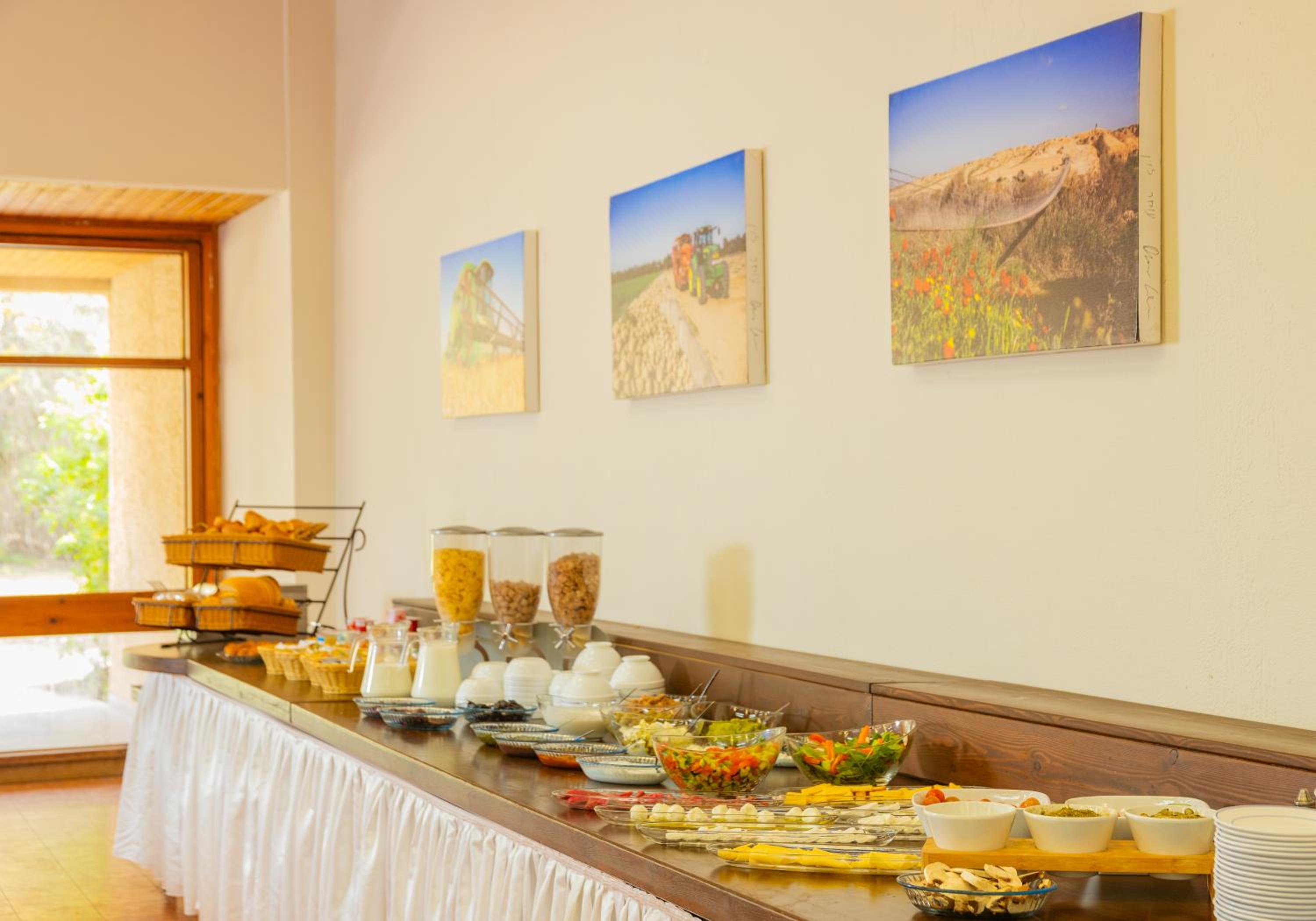 Gvulot - Kibbutz experience