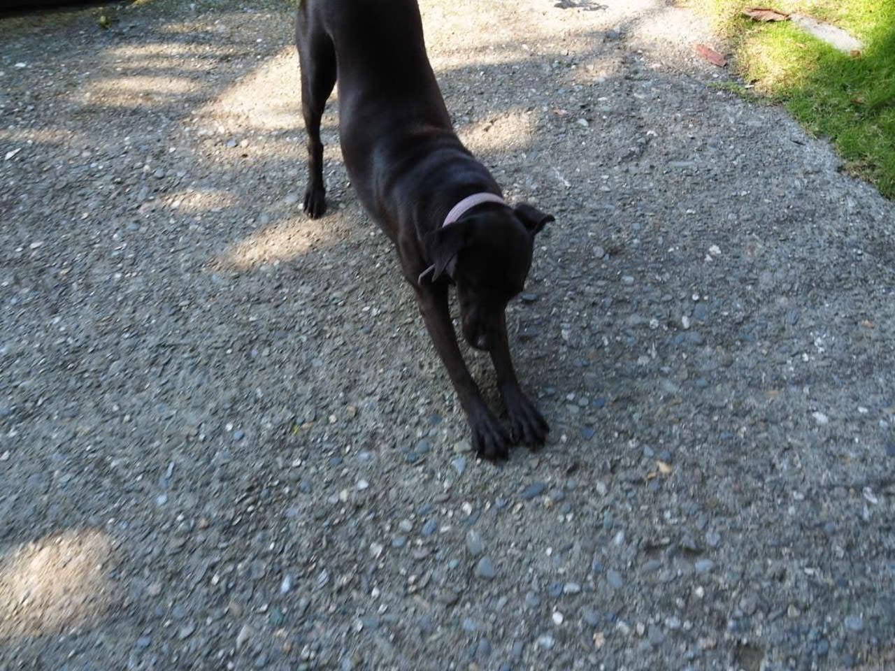 Photo 42