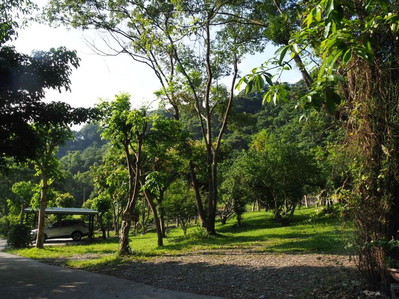 Photo 43