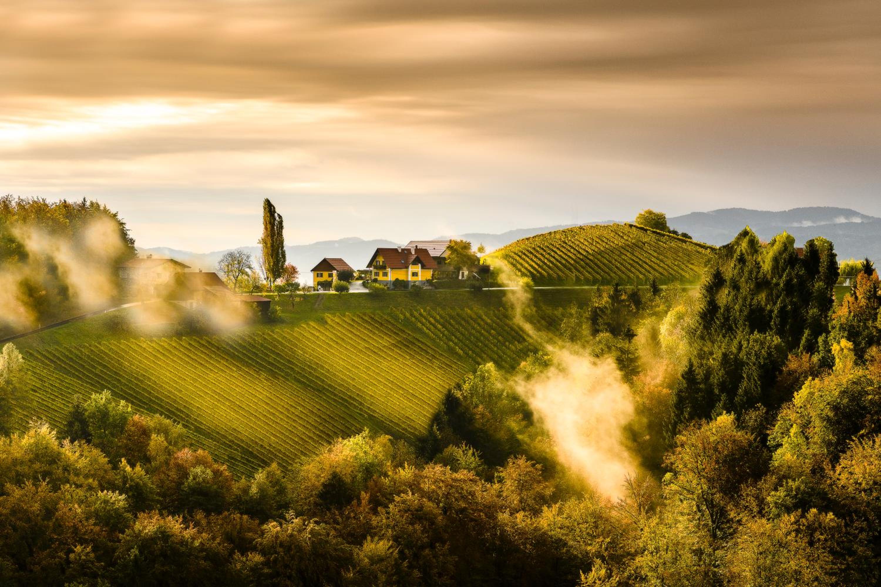 Weingut-Wohlfühlzimmer Adam-Lieleg