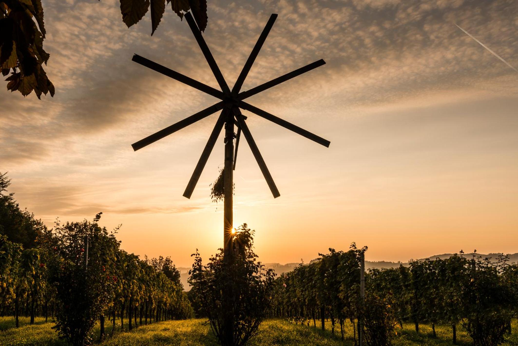 Weingut-Wohlfühlzimmer Adam-Lieleg