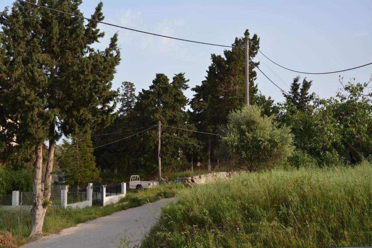 Photo 23