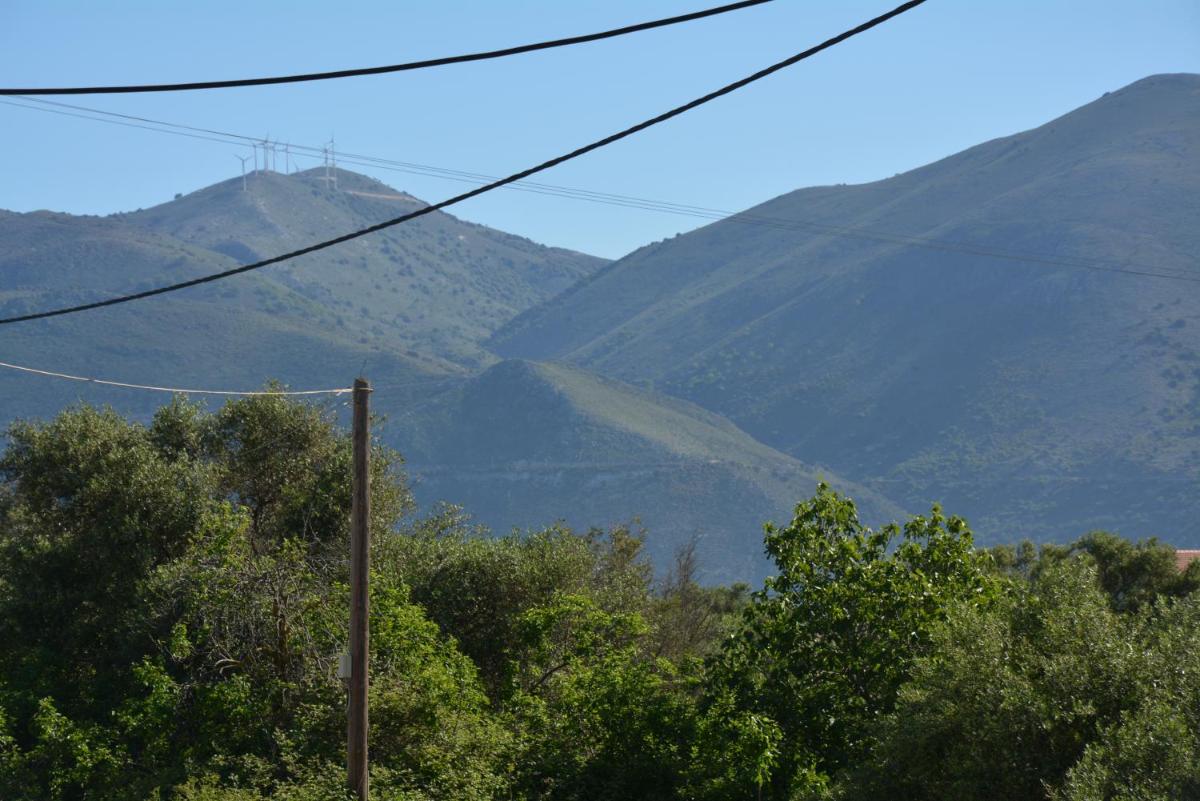 Photo 32