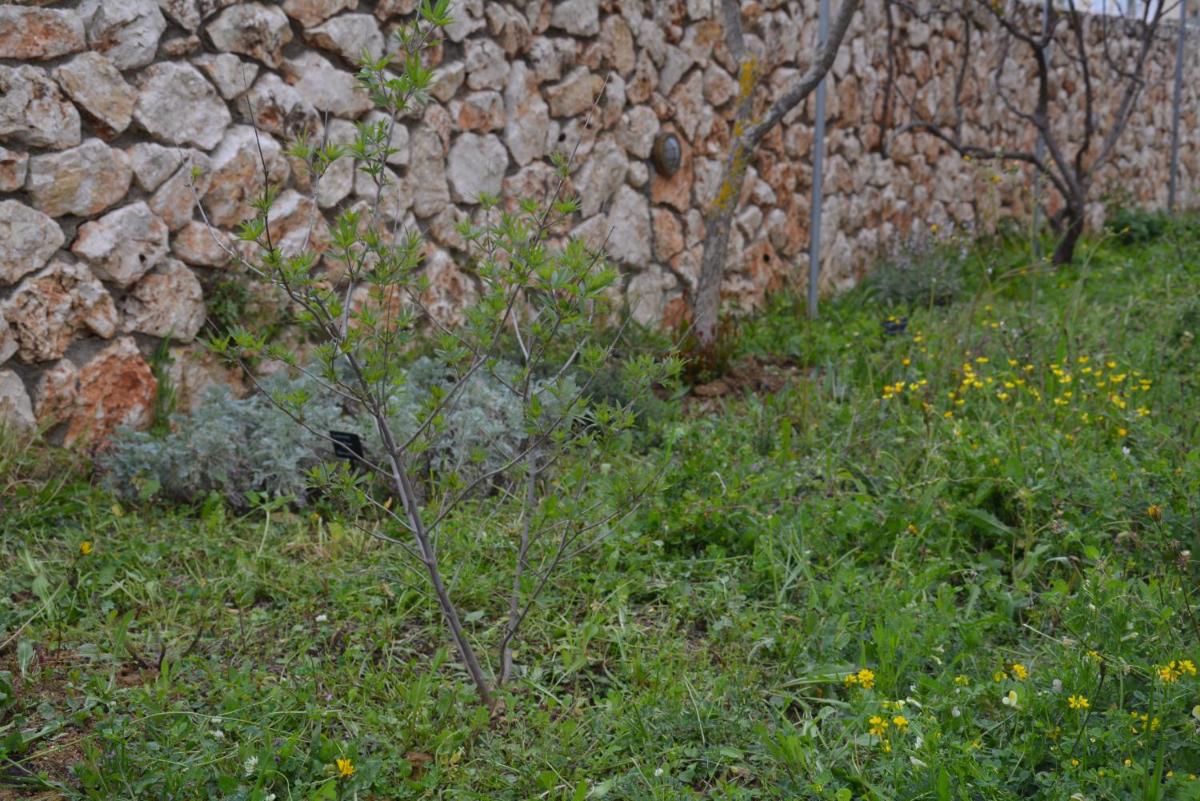 Photo 35