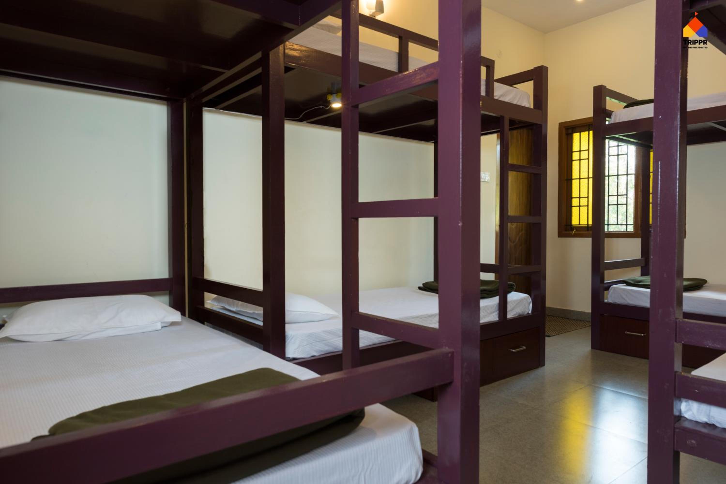 Trippr Kodaikanal Backpacker Hostel